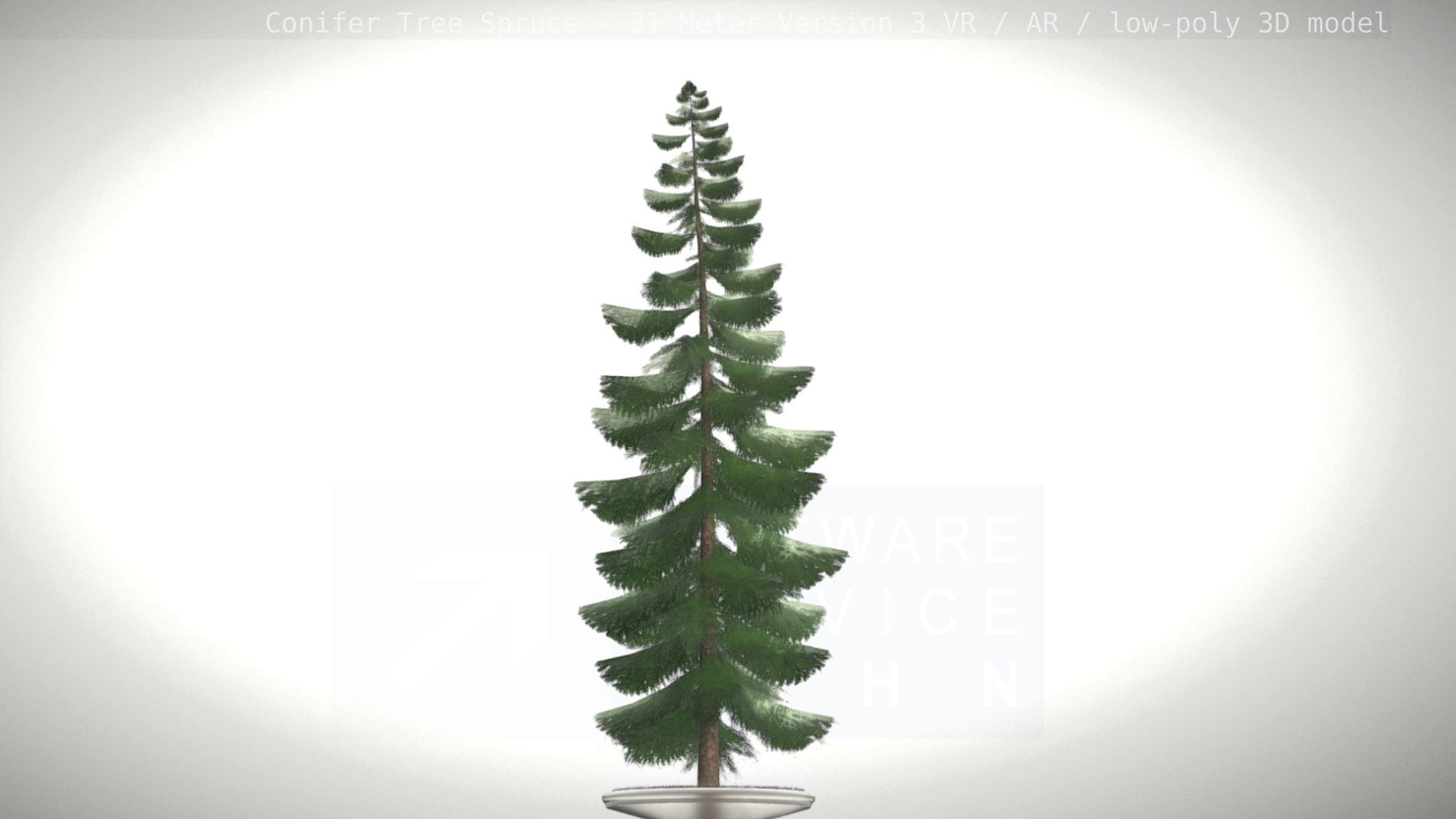 Conifer Tree Spruce - 31 Meter Version 3 Low-poly 3D model_88