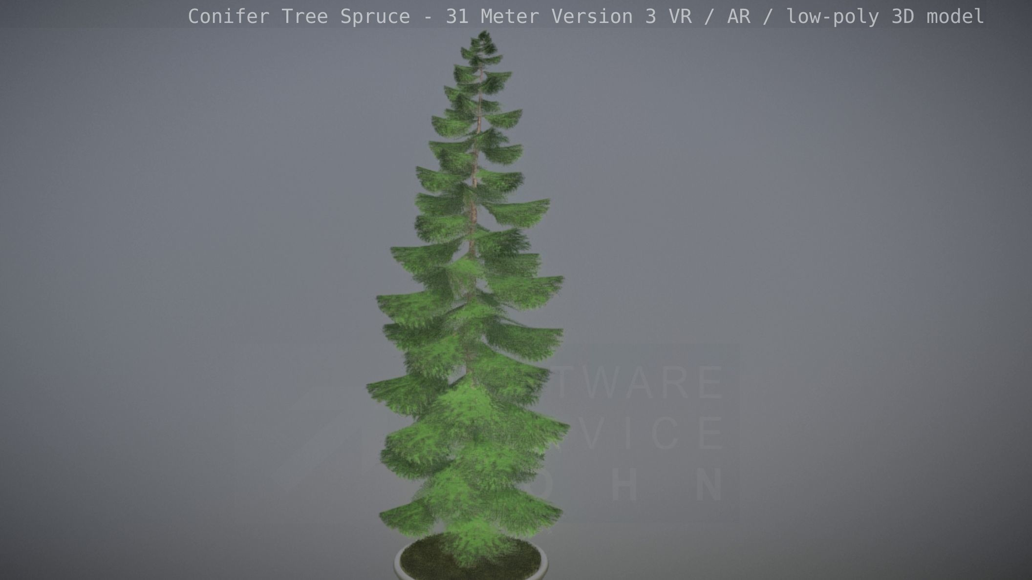 Conifer Tree Spruce - 31 Meter Version 3 Low-poly 3D model_14