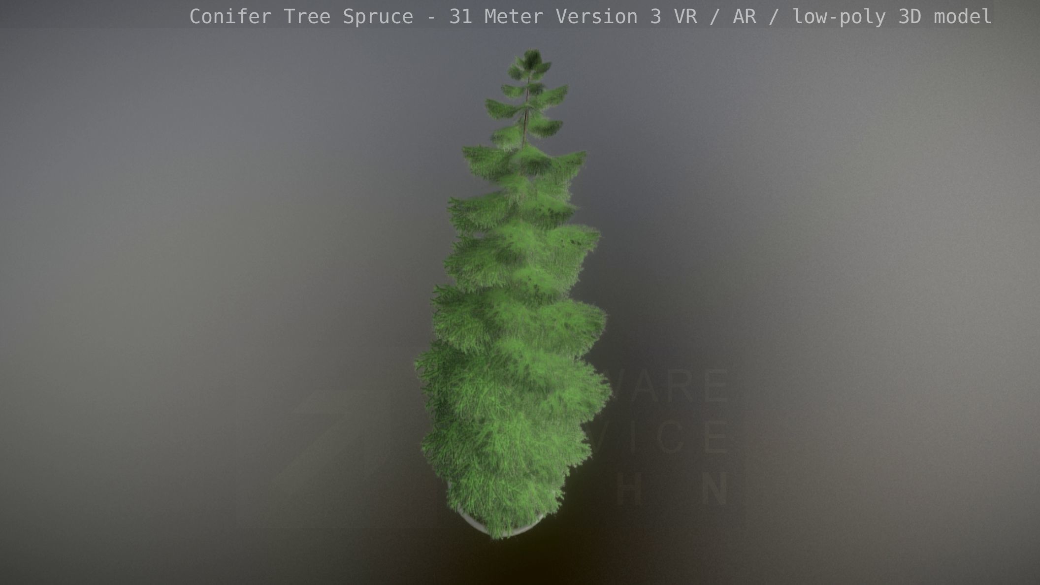 Conifer Tree Spruce - 31 Meter Version 3 Low-poly 3D model_97