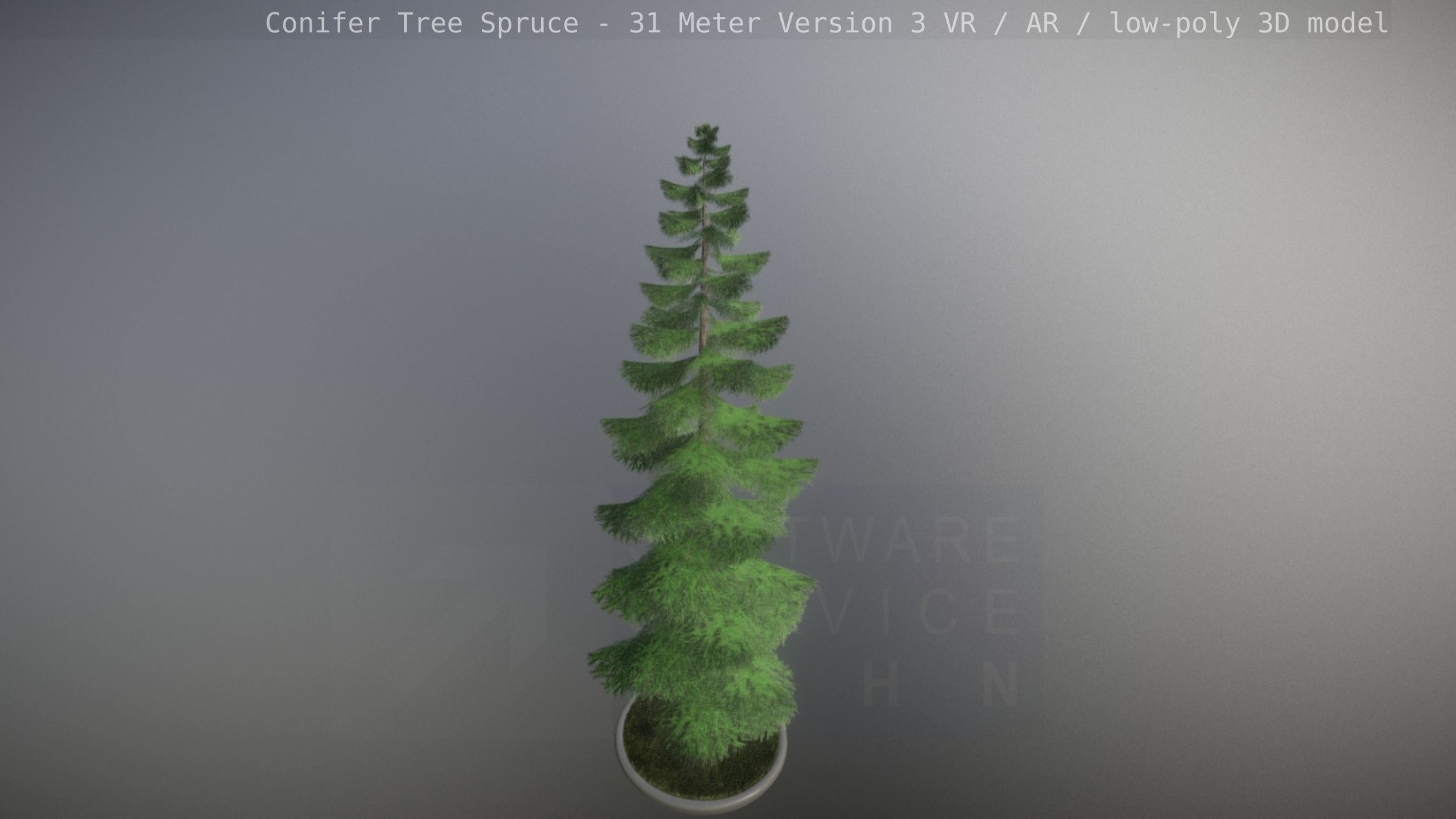 Conifer Tree Spruce - 31 Meter Version 3 Low-poly 3D model_94