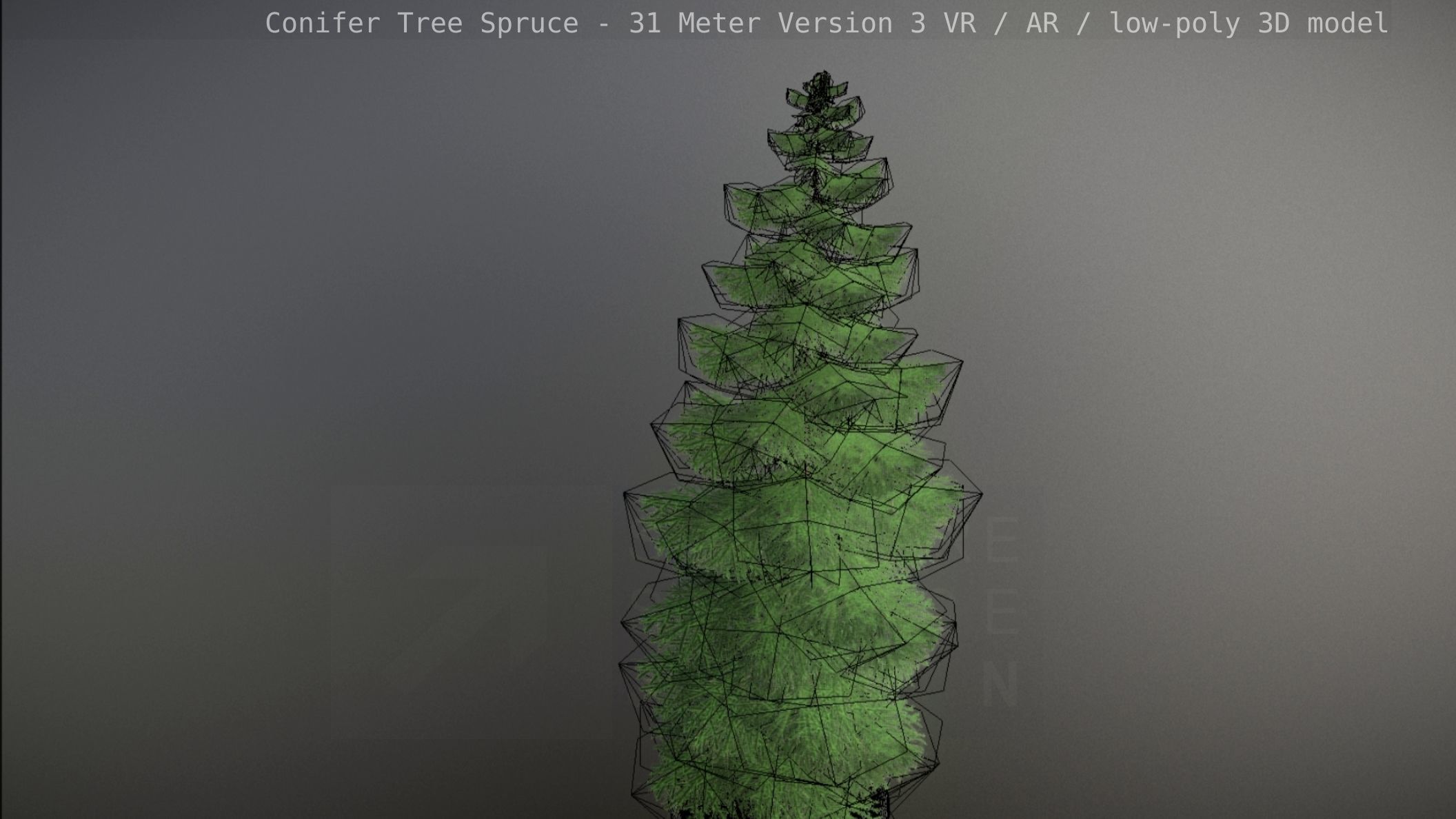 Conifer Tree Spruce - 31 Meter Version 3 Low-poly 3D model_68