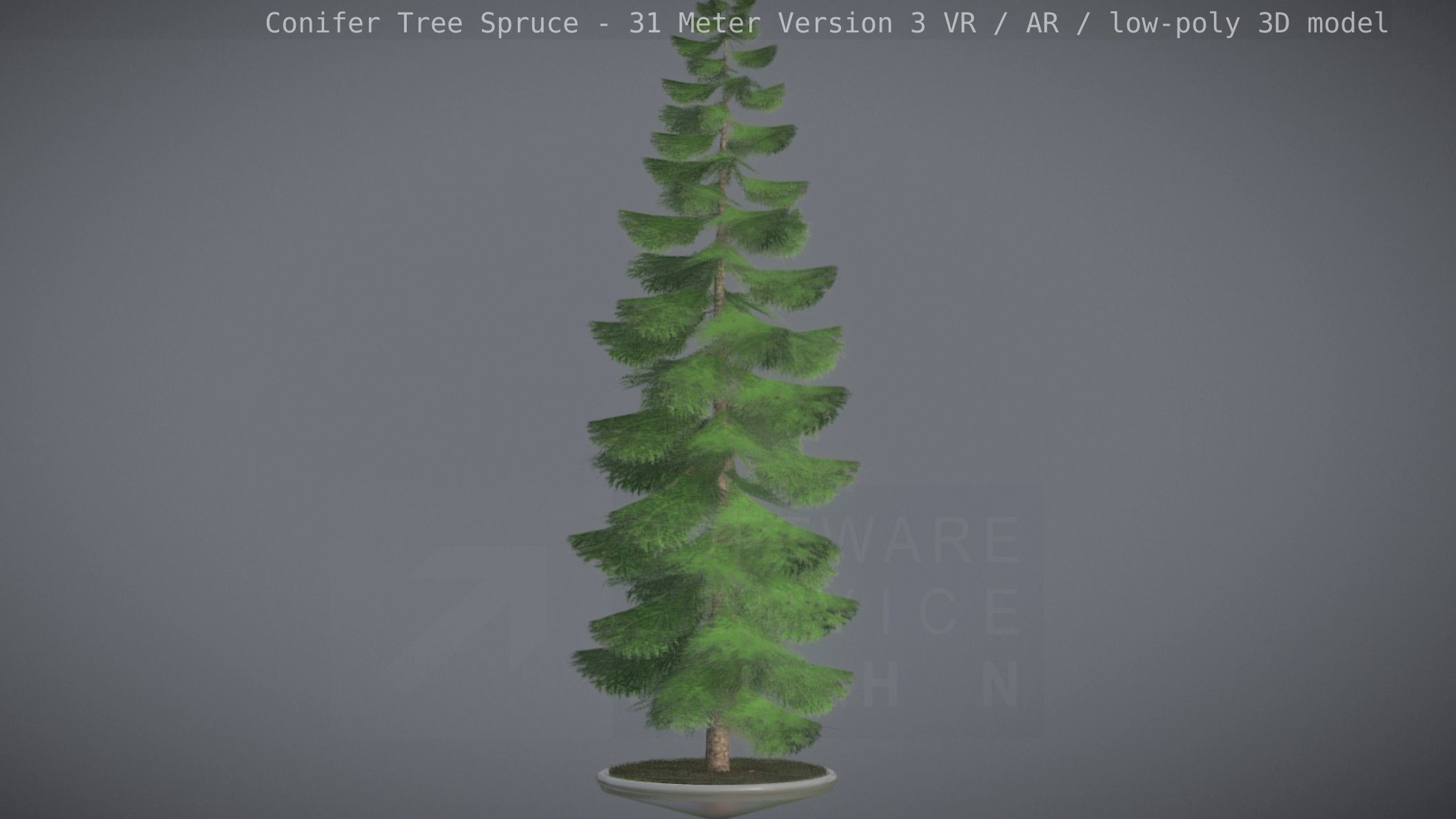 Conifer Tree Spruce - 31 Meter Version 3 Low-poly 3D model_85