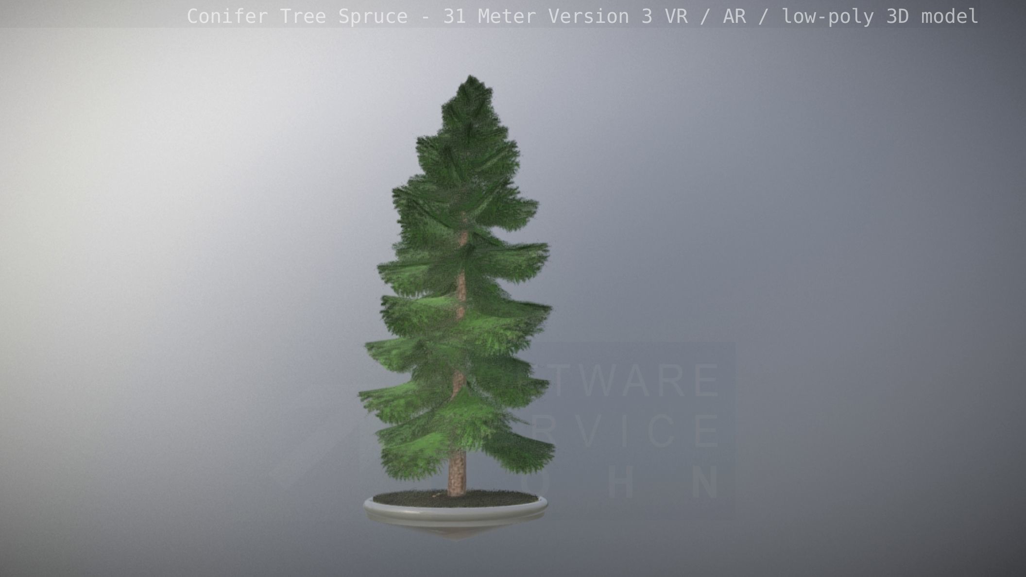 Conifer Tree Spruce - 31 Meter Version 3 Low-poly 3D model_104