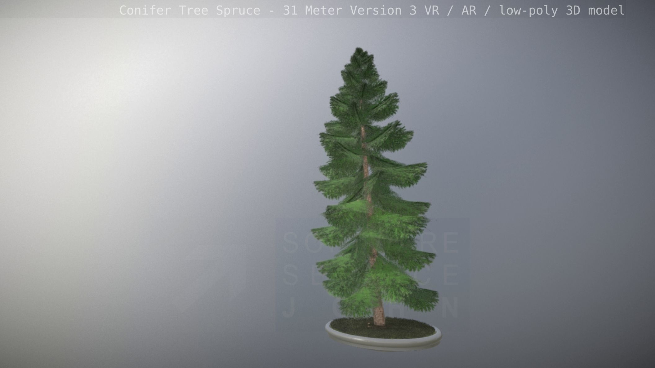 Conifer Tree Spruce - 31 Meter Version 3 Low-poly 3D model_103