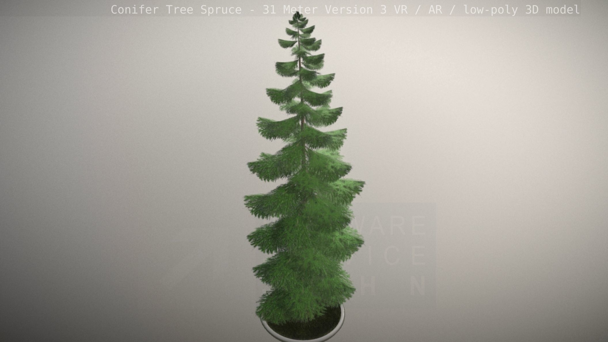 Conifer Tree Spruce - 31 Meter Version 3 Low-poly 3D model_26