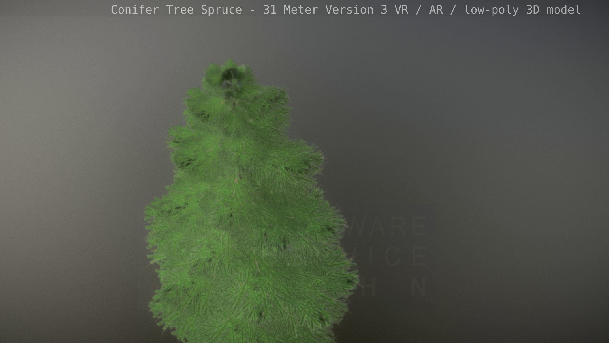Conifer Tree Spruce - 31 Meter Version 3 Low-poly 3D model_37