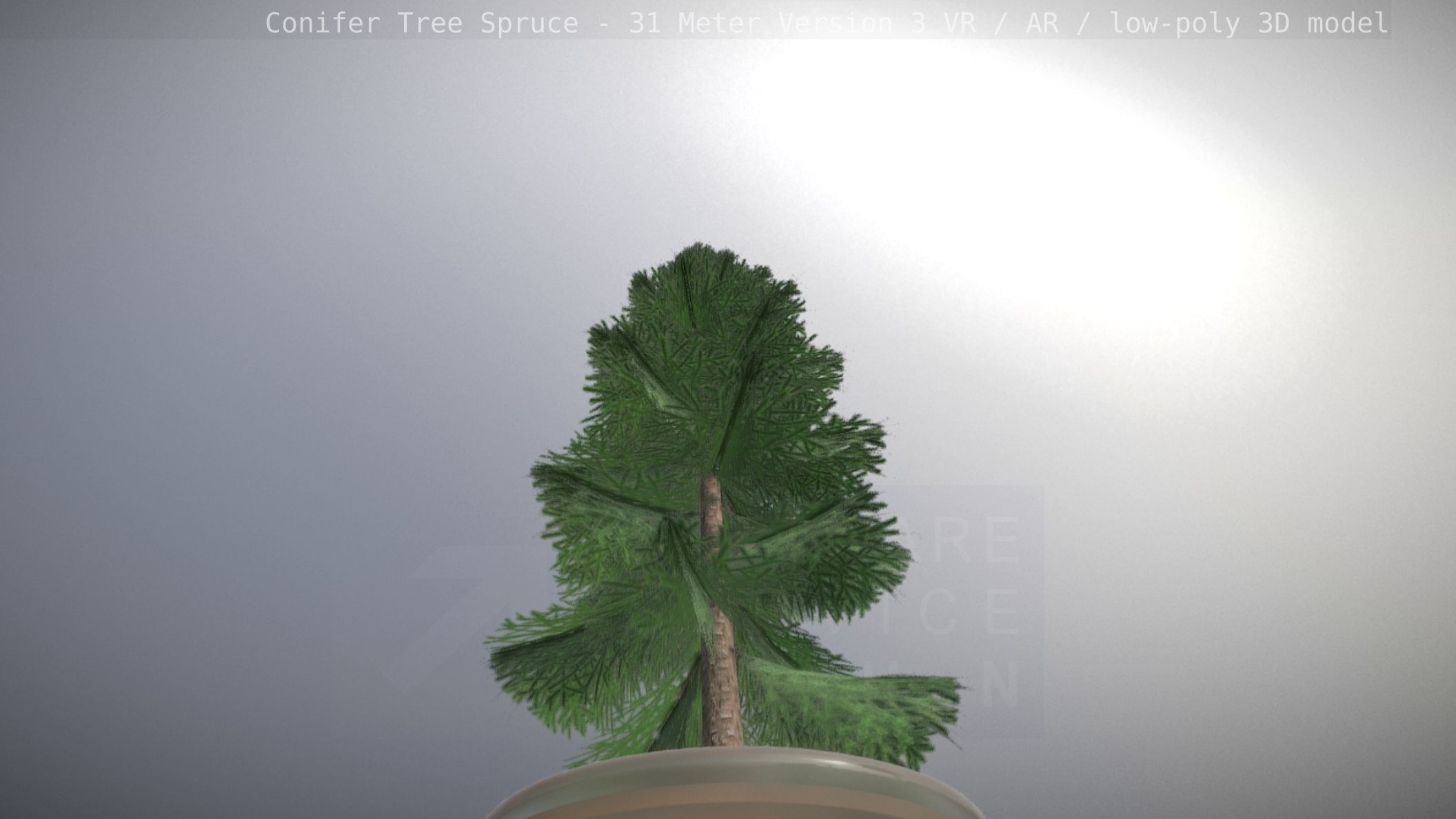 Conifer Tree Spruce - 31 Meter Version 3 Low-poly 3D model_98