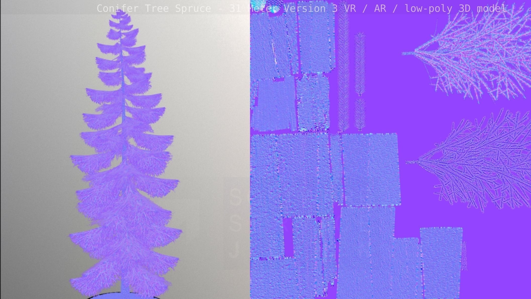 Conifer Tree Spruce - 31 Meter Version 3 Low-poly 3D model_3
