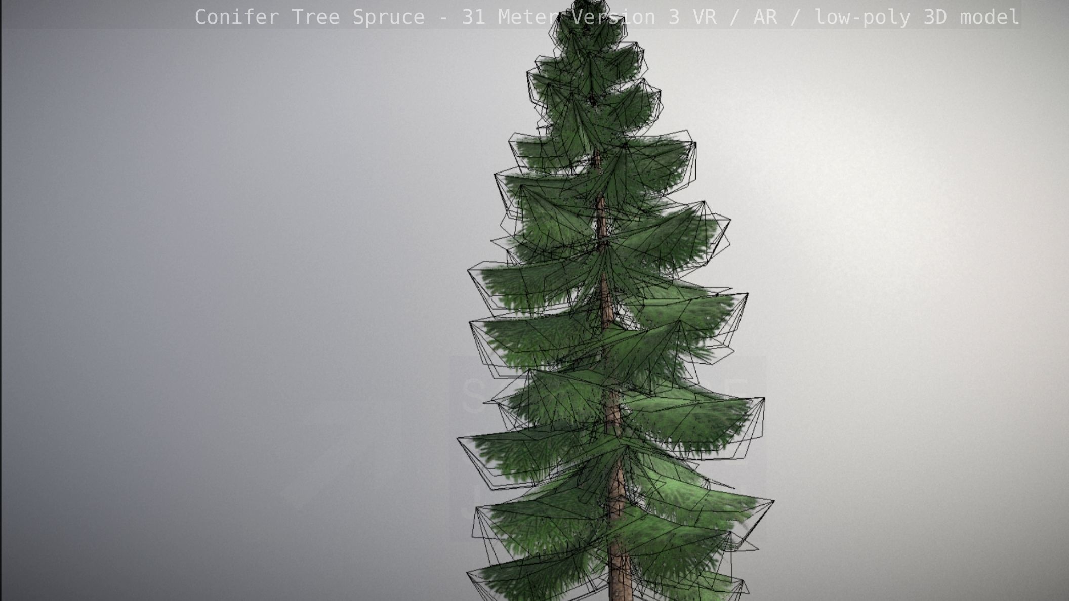 Conifer Tree Spruce - 31 Meter Version 3 Low-poly 3D model_62