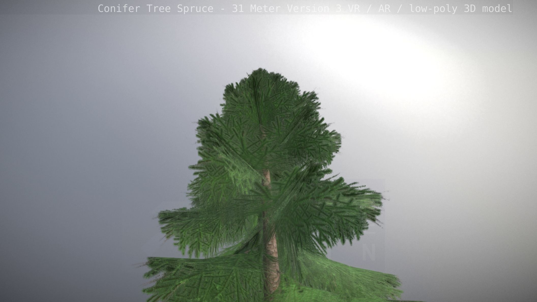 Conifer Tree Spruce - 31 Meter Version 3 Low-poly 3D model_99