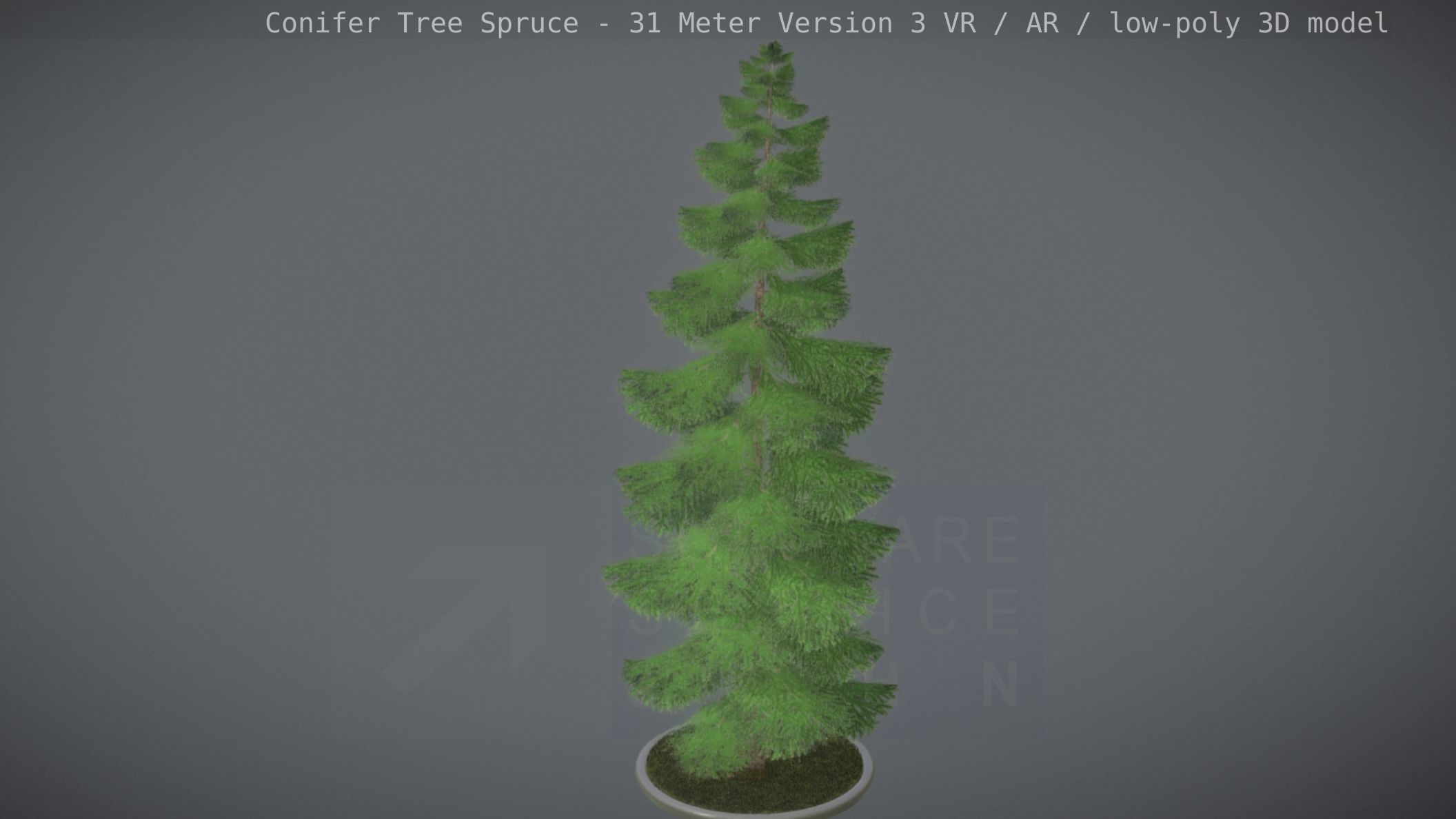 Conifer Tree Spruce - 31 Meter Version 3 Low-poly 3D model_79