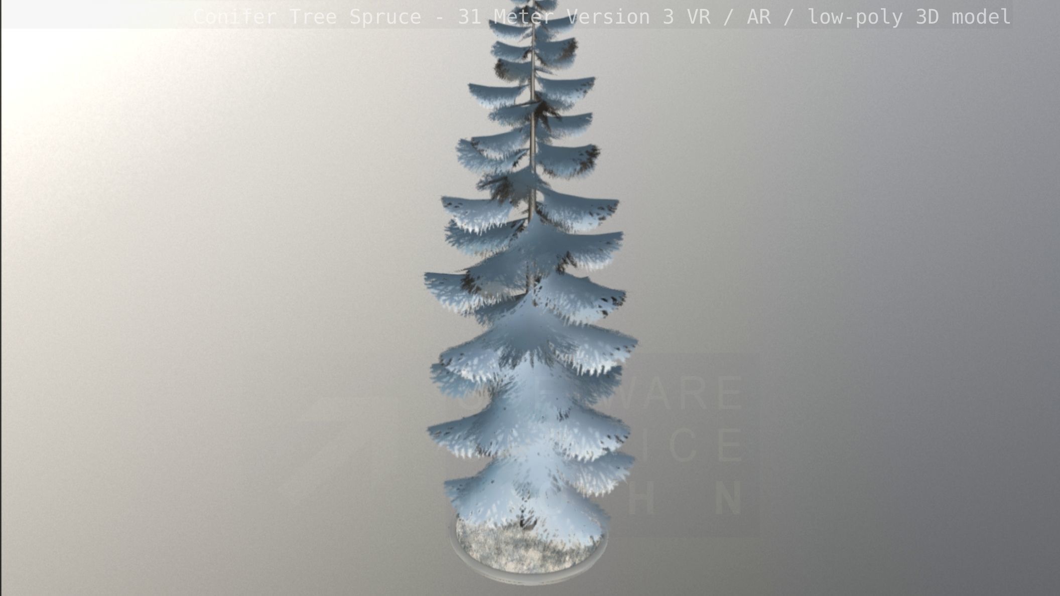 Conifer Tree Spruce - 31 Meter Version 3 Low-poly 3D model_54