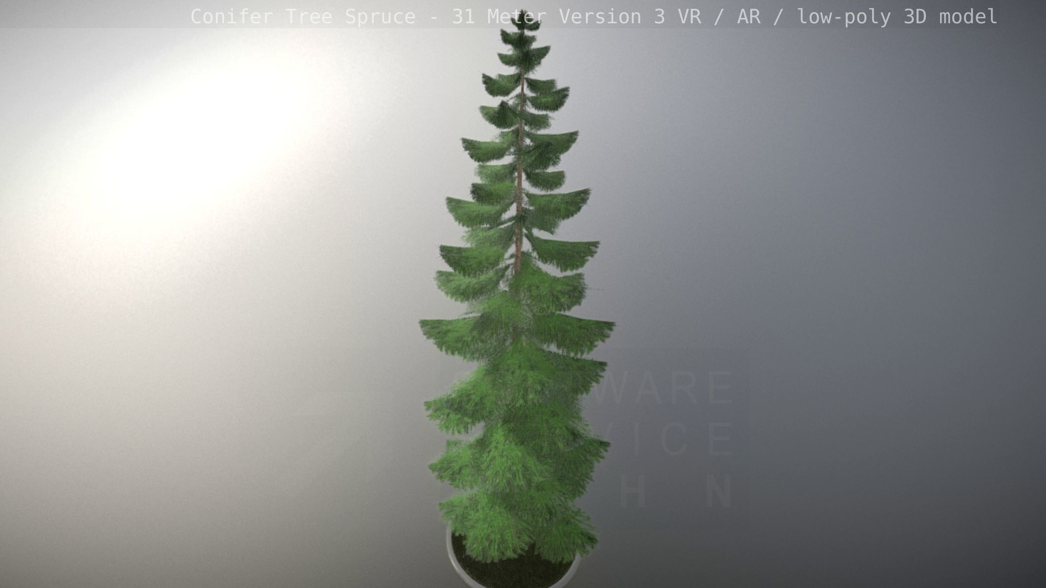 Conifer Tree Spruce - 31 Meter Version 3 Low-poly 3D model_106