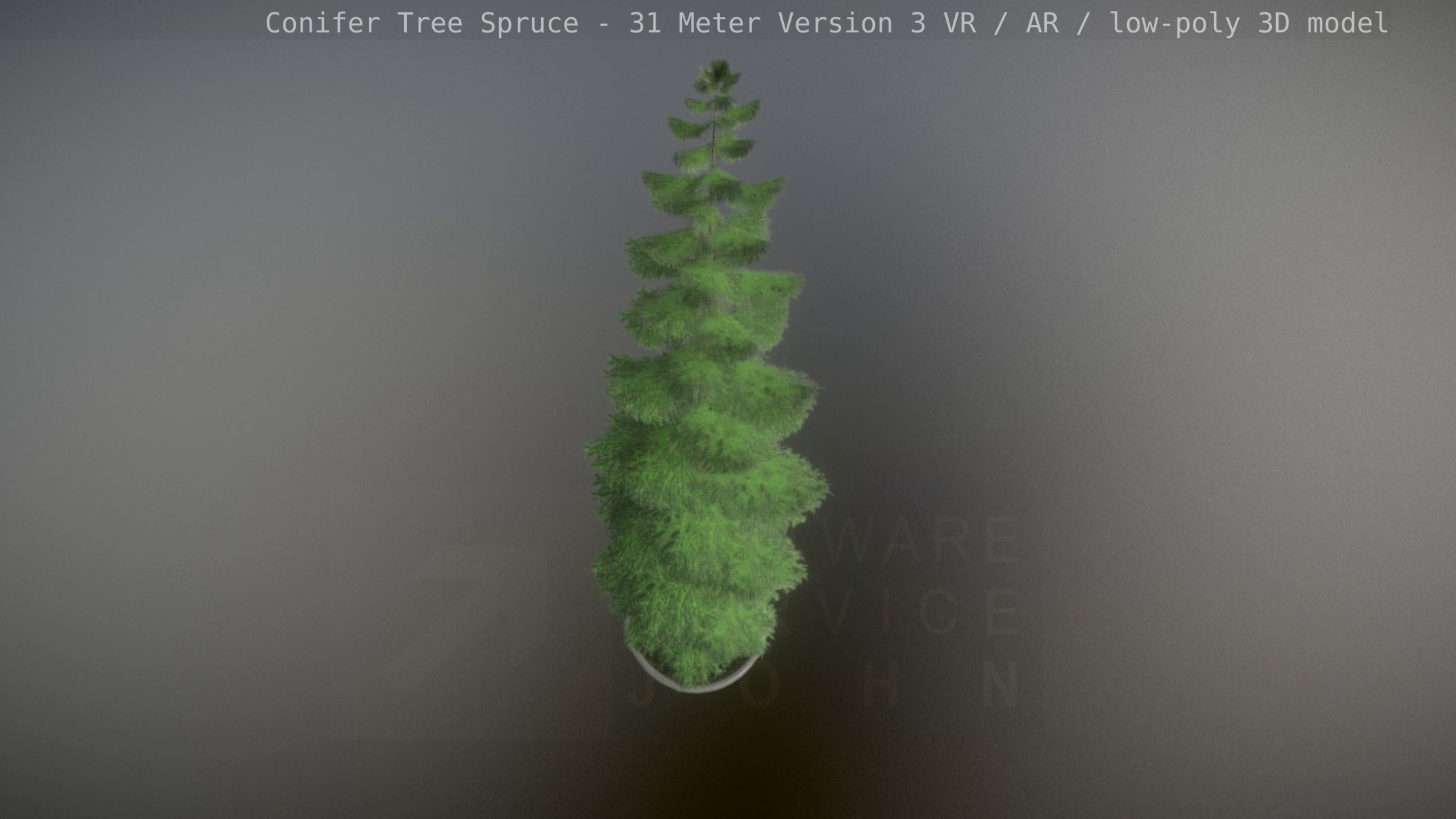 Conifer Tree Spruce - 31 Meter Version 3 Low-poly 3D model_96