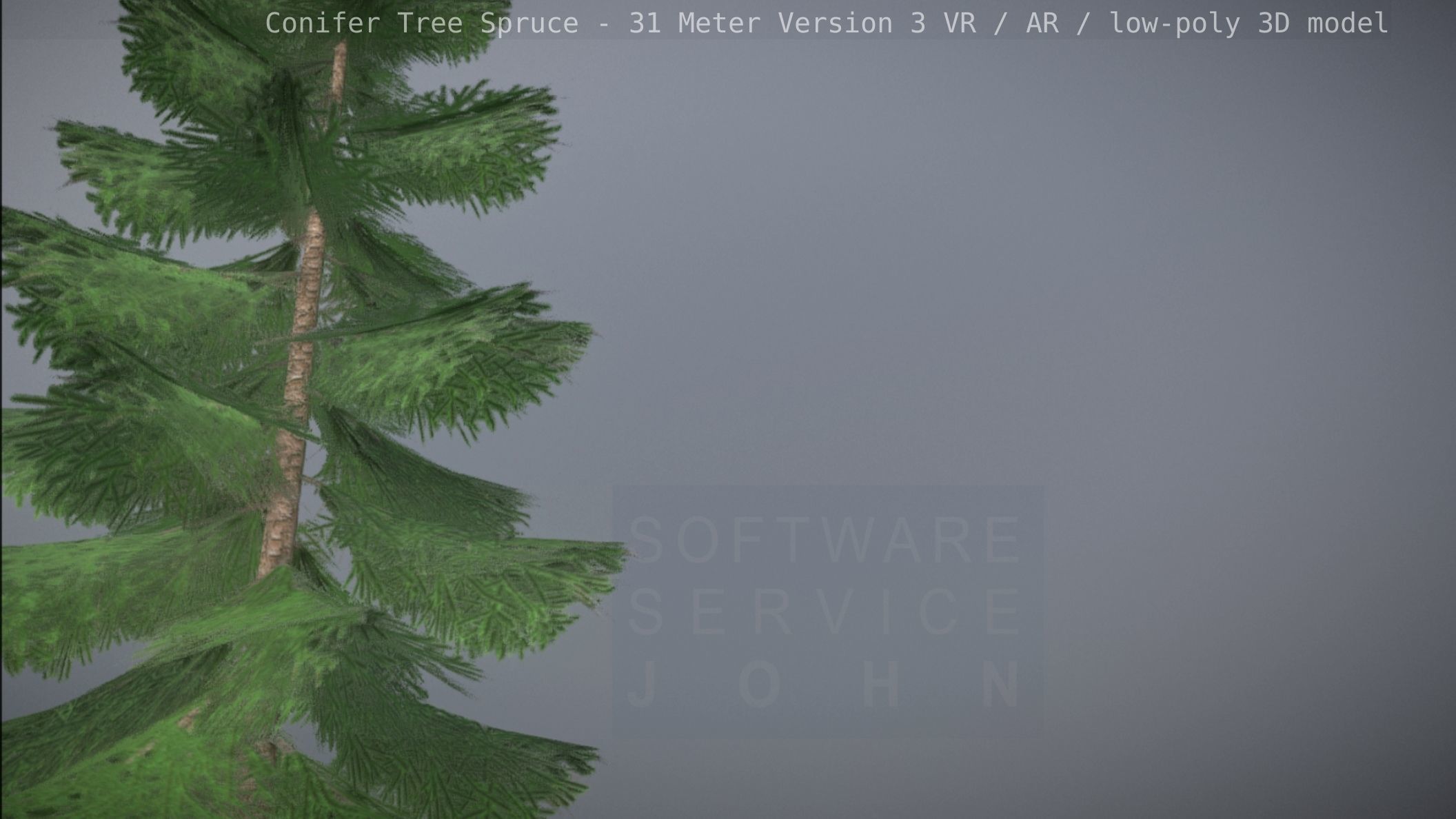 Conifer Tree Spruce - 31 Meter Version 3 Low-poly 3D model_76