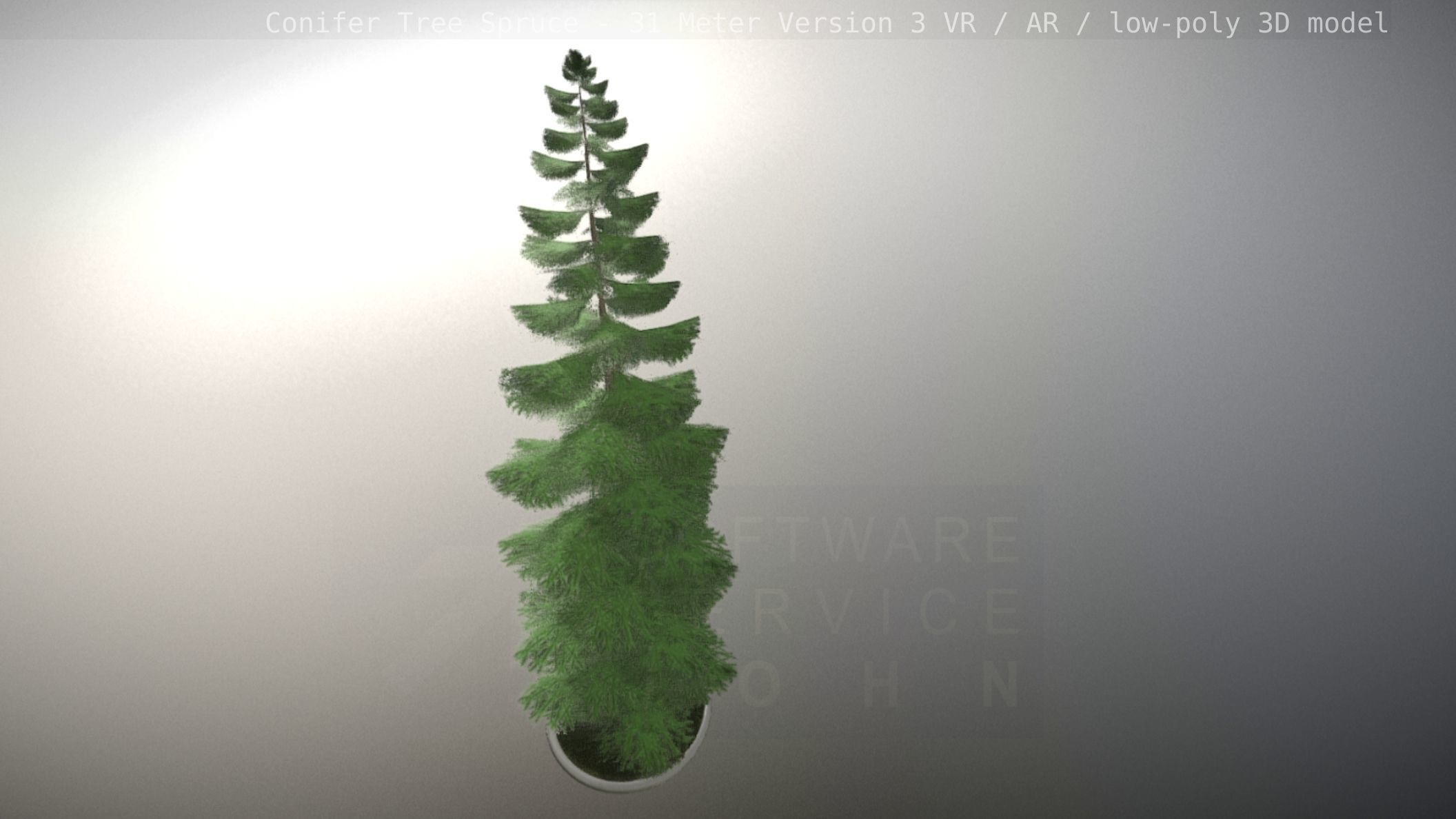 Conifer Tree Spruce - 31 Meter Version 3 Low-poly 3D model_108