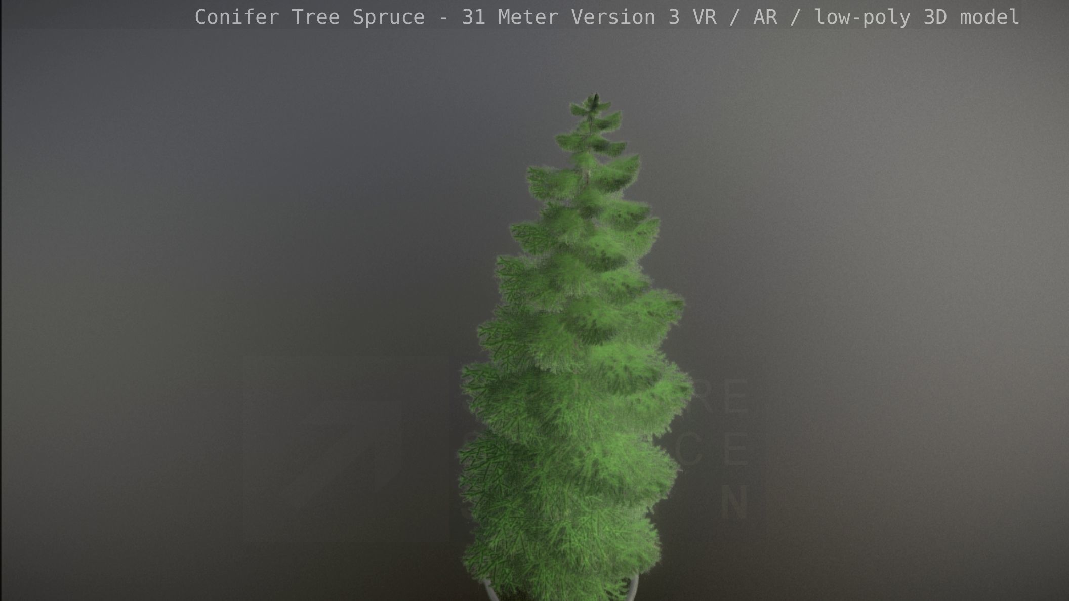 Conifer Tree Spruce - 31 Meter Version 3 Low-poly 3D model_72