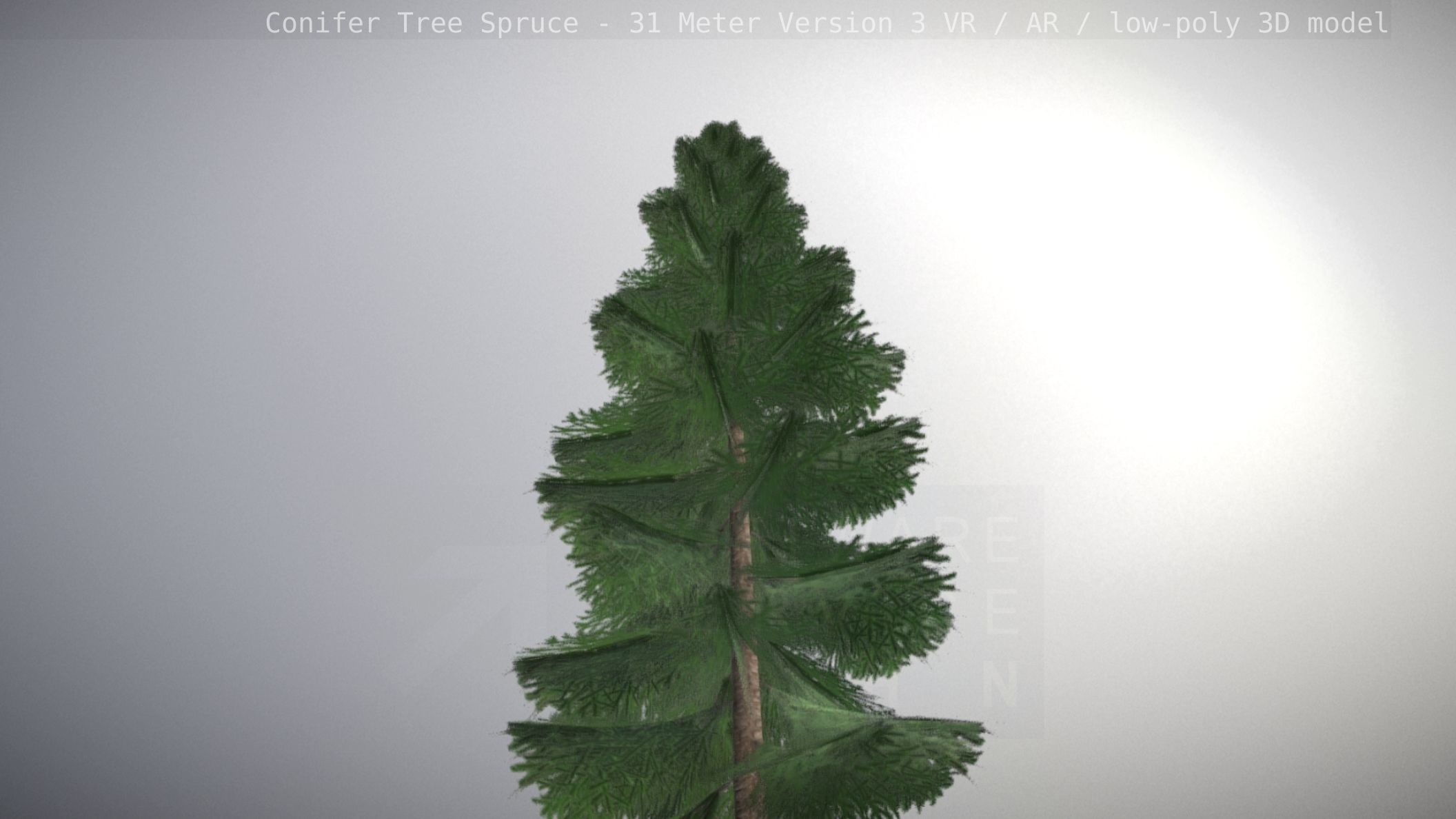 Conifer Tree Spruce - 31 Meter Version 3 Low-poly 3D model_4