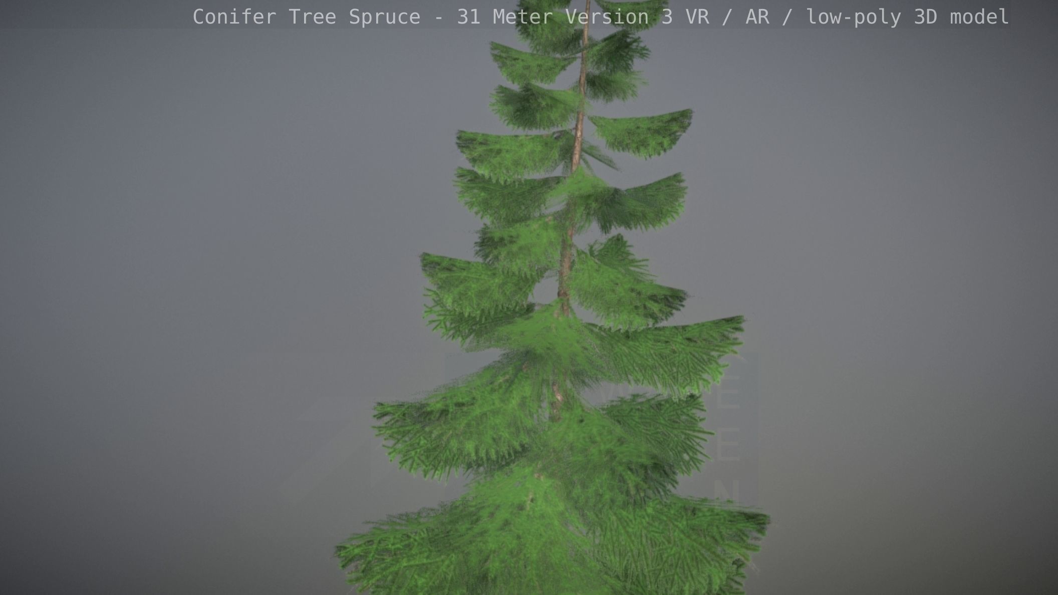 Conifer Tree Spruce - 31 Meter Version 3 Low-poly 3D model_32