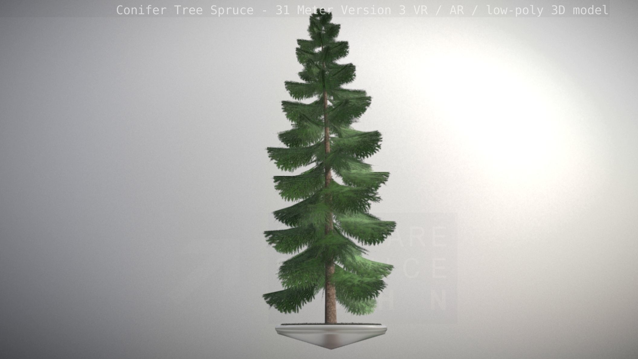 Conifer Tree Spruce - 31 Meter Version 3 Low-poly 3D model_41