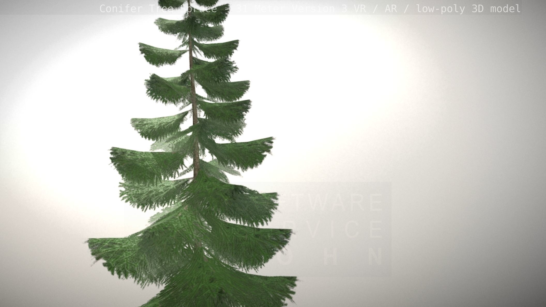 Conifer Tree Spruce - 31 Meter Version 3 Low-poly 3D model_38