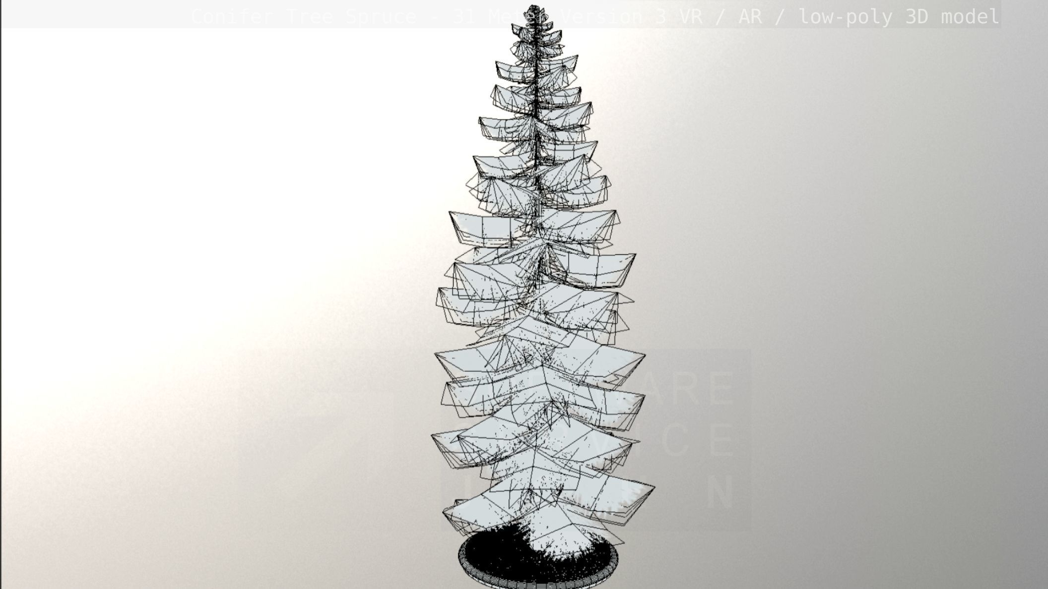 Conifer Tree Spruce - 31 Meter Version 3 Low-poly 3D model_52
