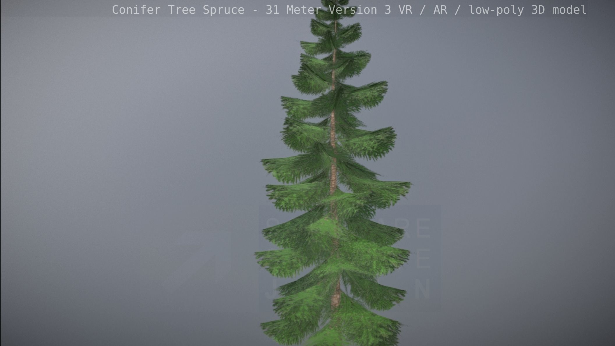 Conifer Tree Spruce - 31 Meter Version 3 Low-poly 3D model_77