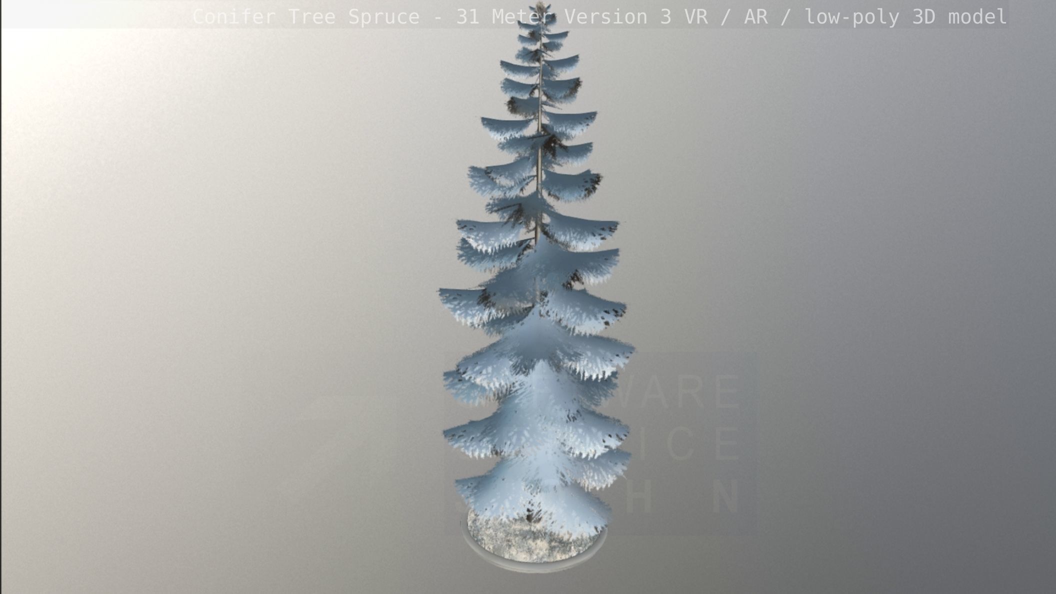 Conifer Tree Spruce - 31 Meter Version 3 Low-poly 3D model_56