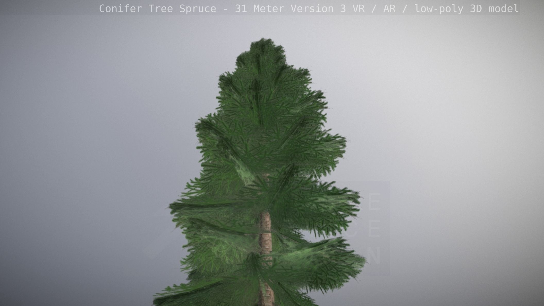 Conifer Tree Spruce - 31 Meter Version 3 Low-poly 3D model_29