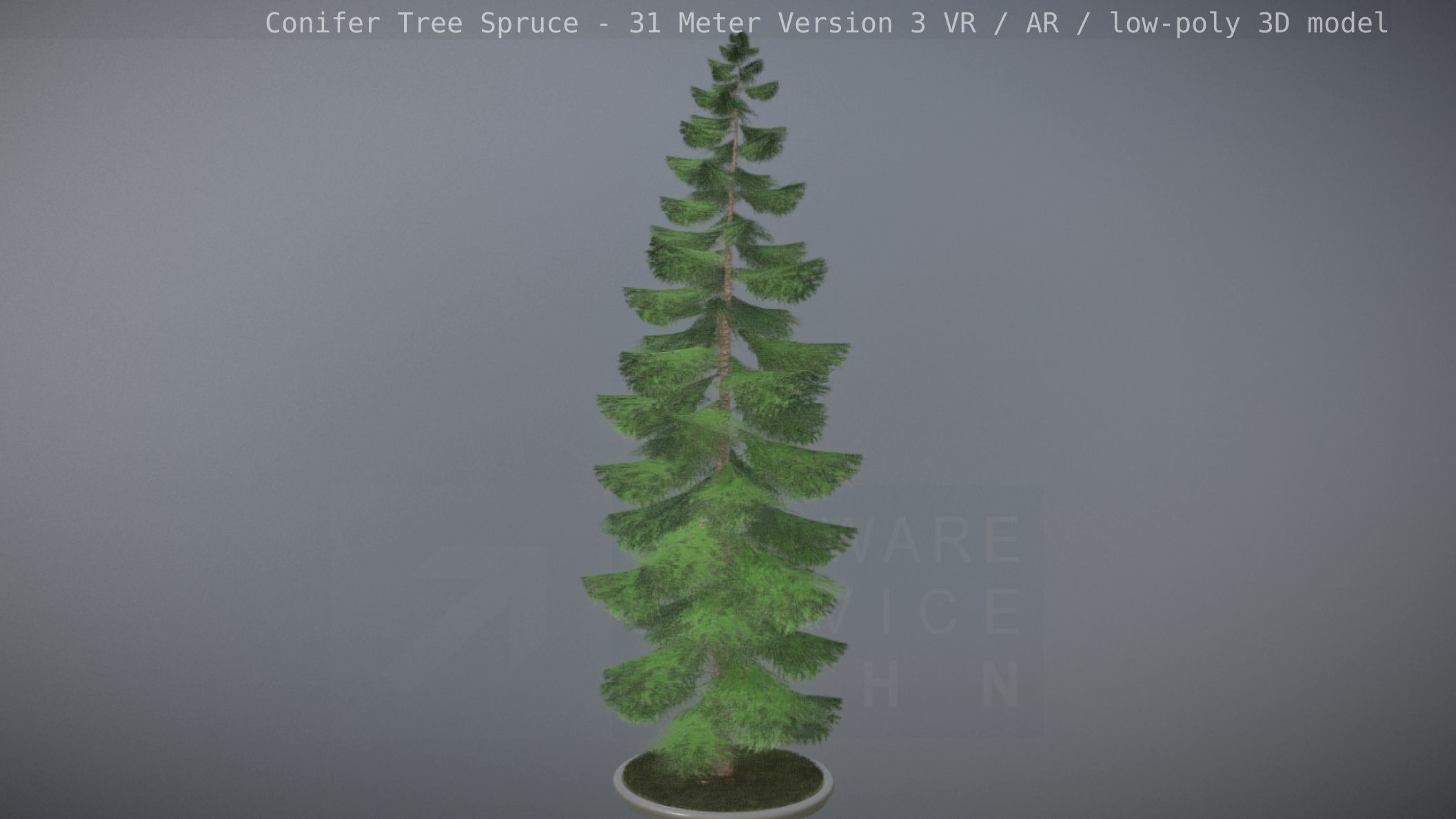 Conifer Tree Spruce - 31 Meter Version 3 Low-poly 3D model_16