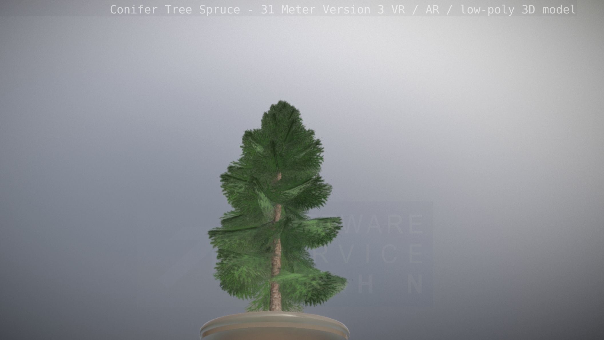 Conifer Tree Spruce - 31 Meter Version 3 Low-poly 3D model_101