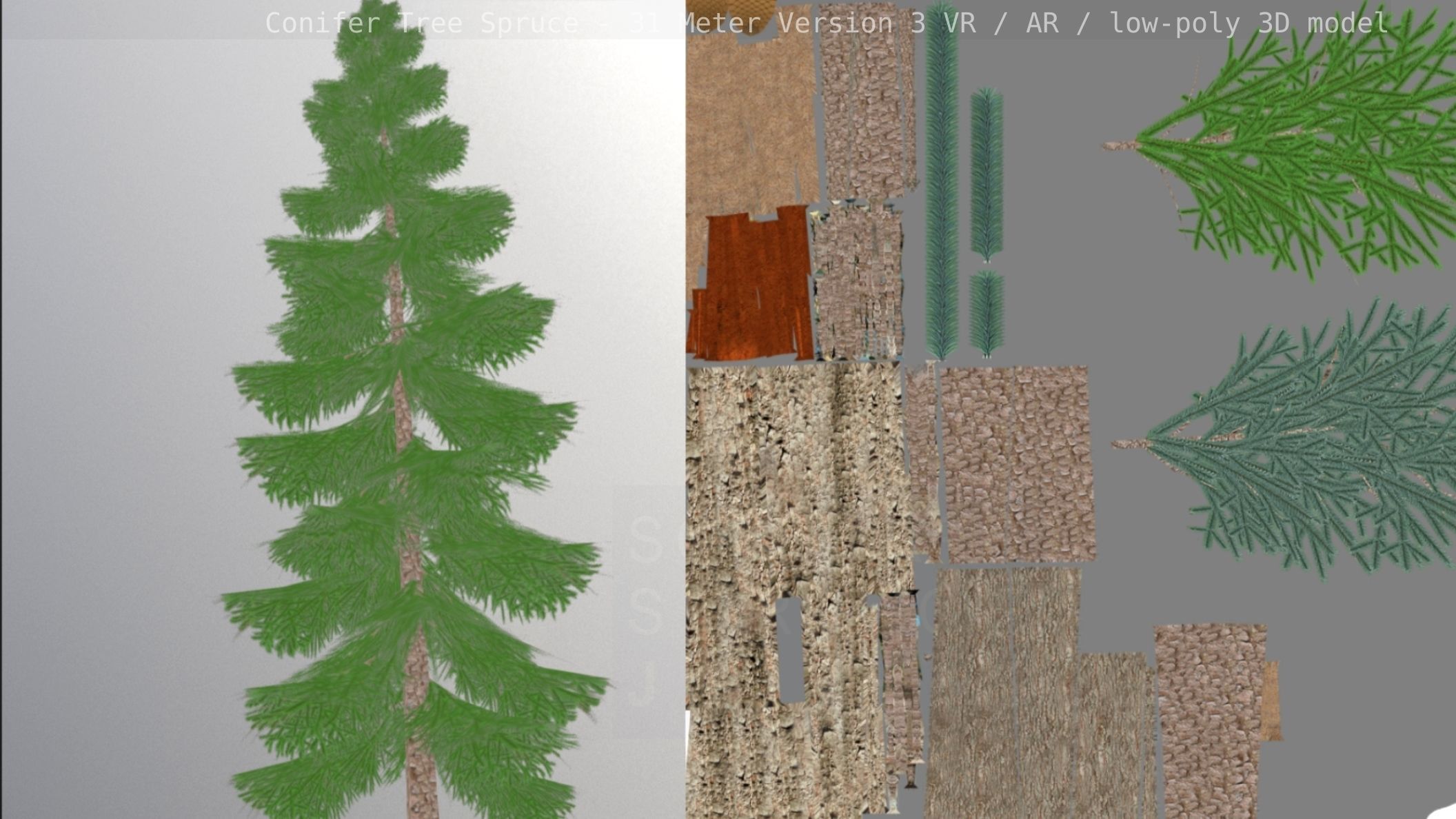 Conifer Tree Spruce - 31 Meter Version 3 Low-poly 3D model_6