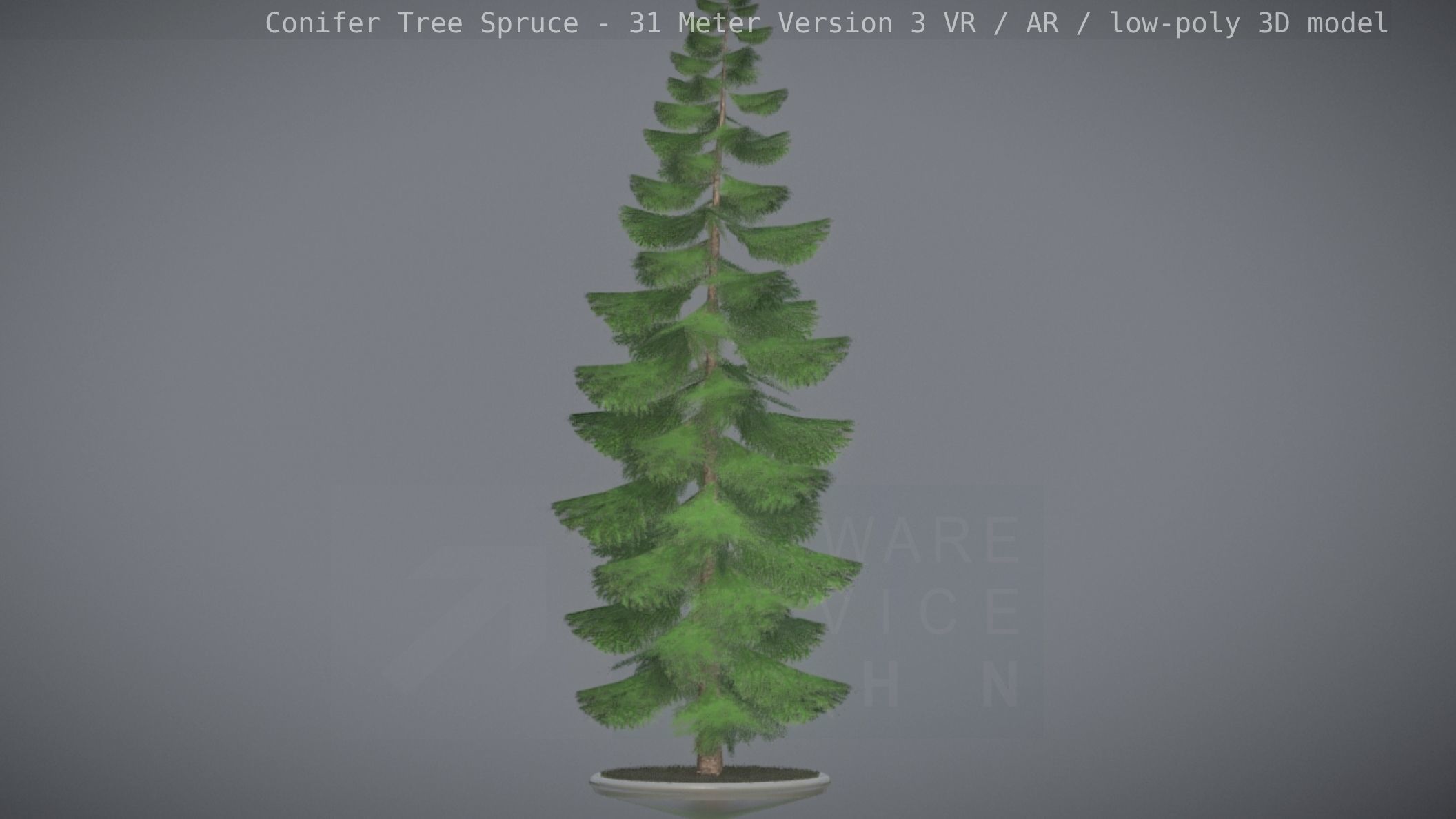 Conifer Tree Spruce - 31 Meter Version 3 Low-poly 3D model_86