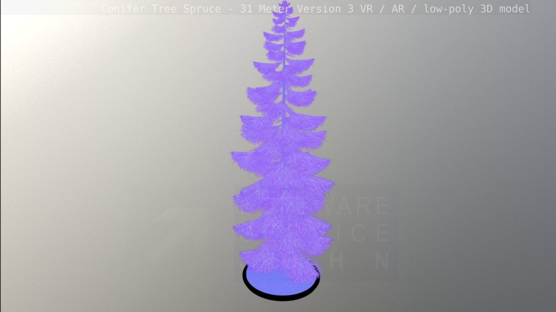 Conifer Tree Spruce - 31 Meter Version 3 Low-poly 3D model_59