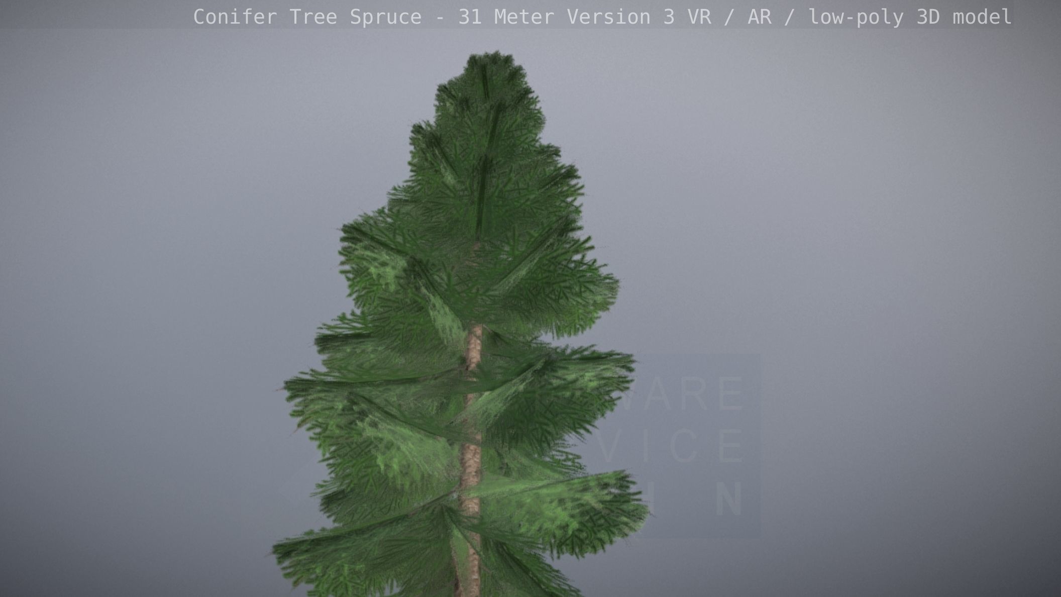 Conifer Tree Spruce - 31 Meter Version 3 Low-poly 3D model_30