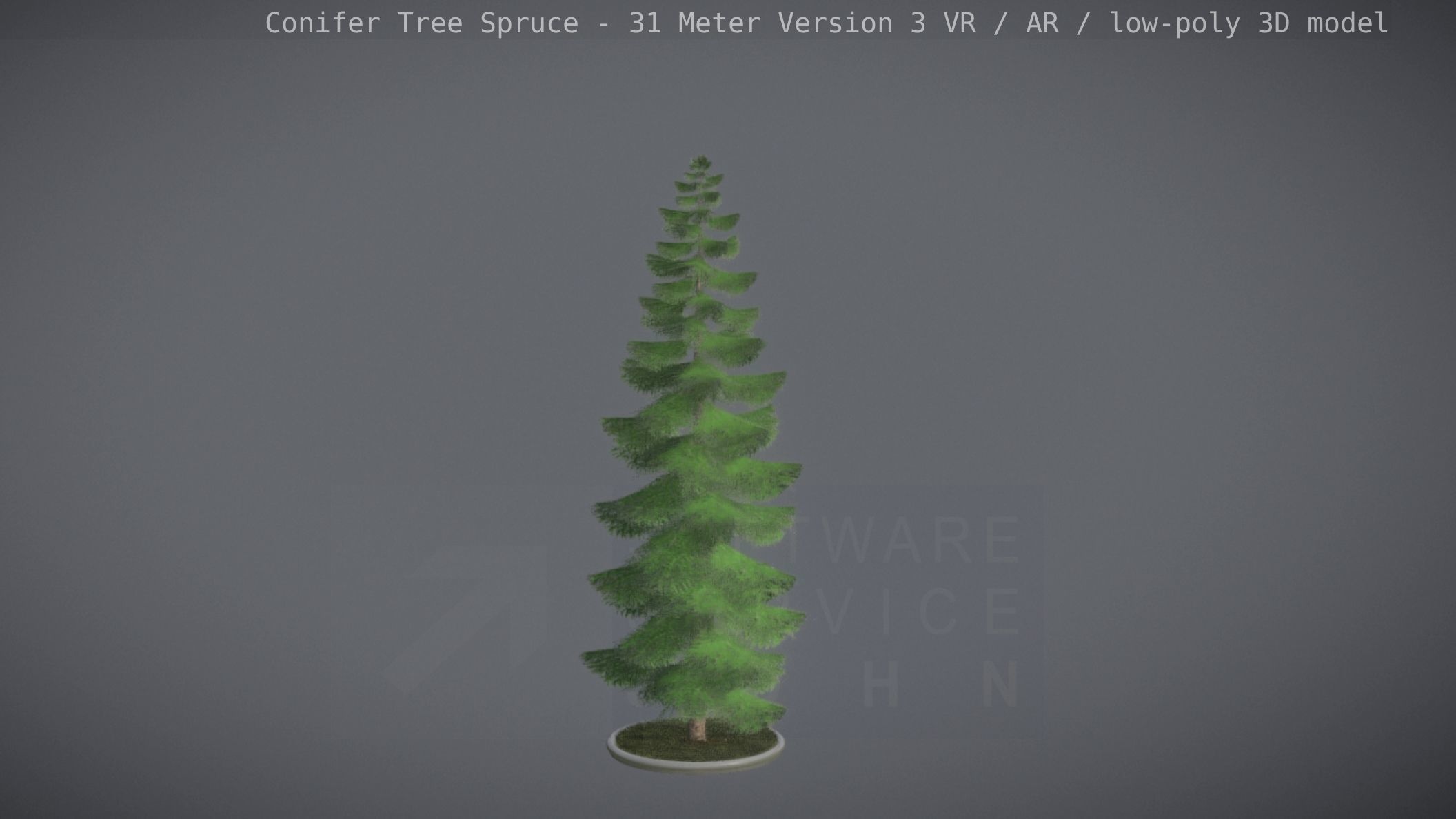 Conifer Tree Spruce - 31 Meter Version 3 Low-poly 3D model_92