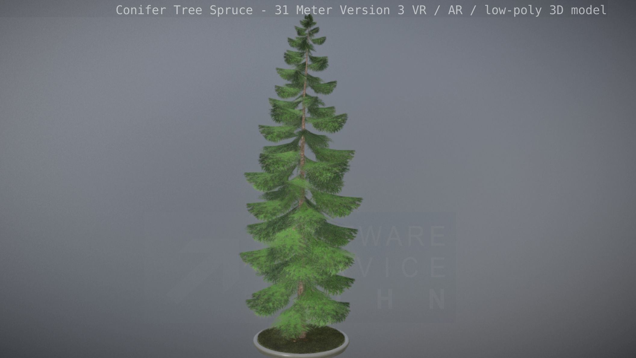 Conifer Tree Spruce - 31 Meter Version 3 Low-poly 3D model_15