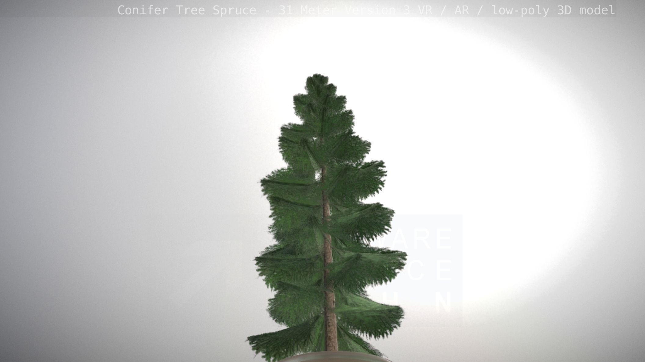 Conifer Tree Spruce - 31 Meter Version 3 Low-poly 3D model_27
