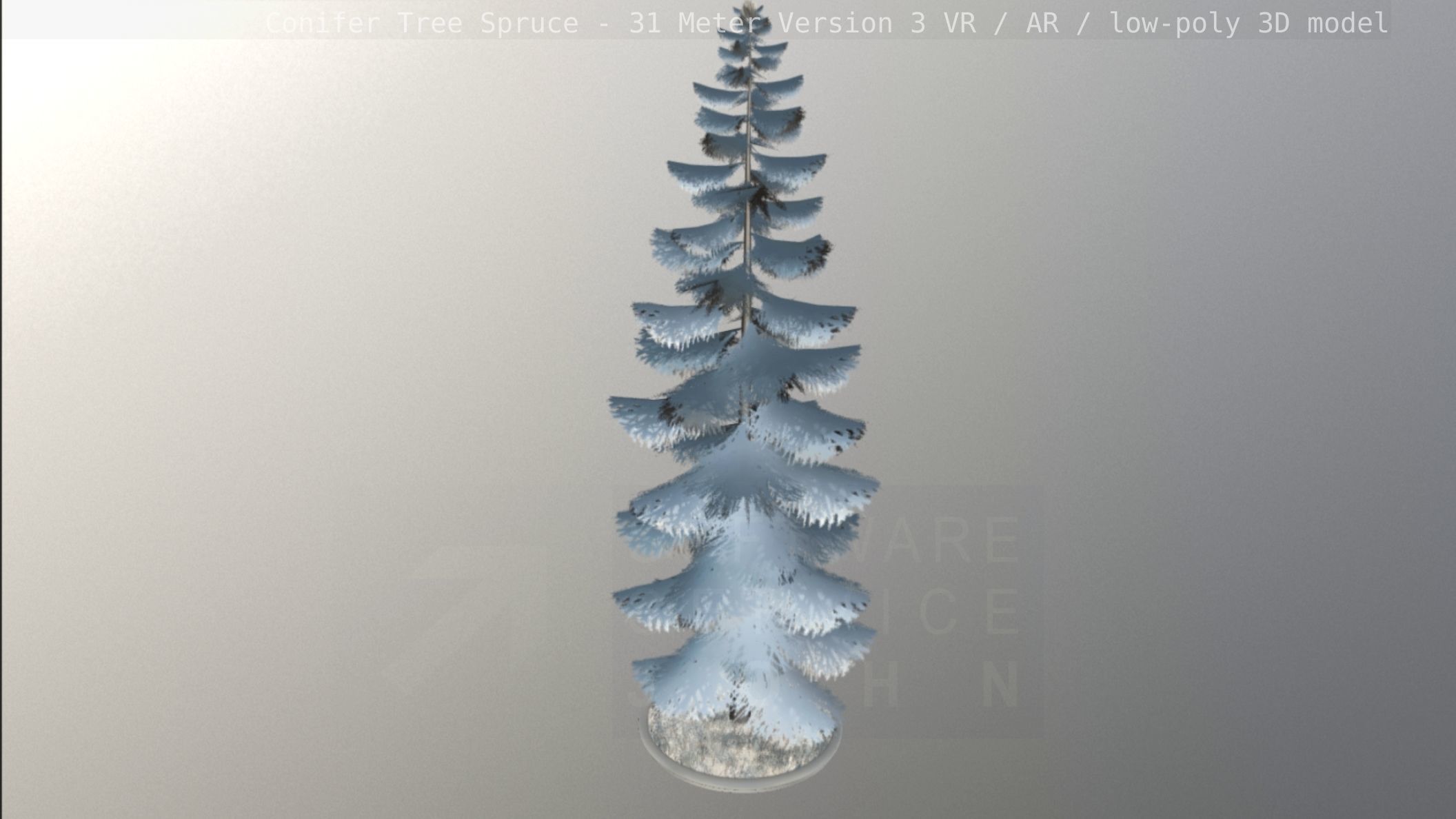 Conifer Tree Spruce - 31 Meter Version 3 Low-poly 3D model_55