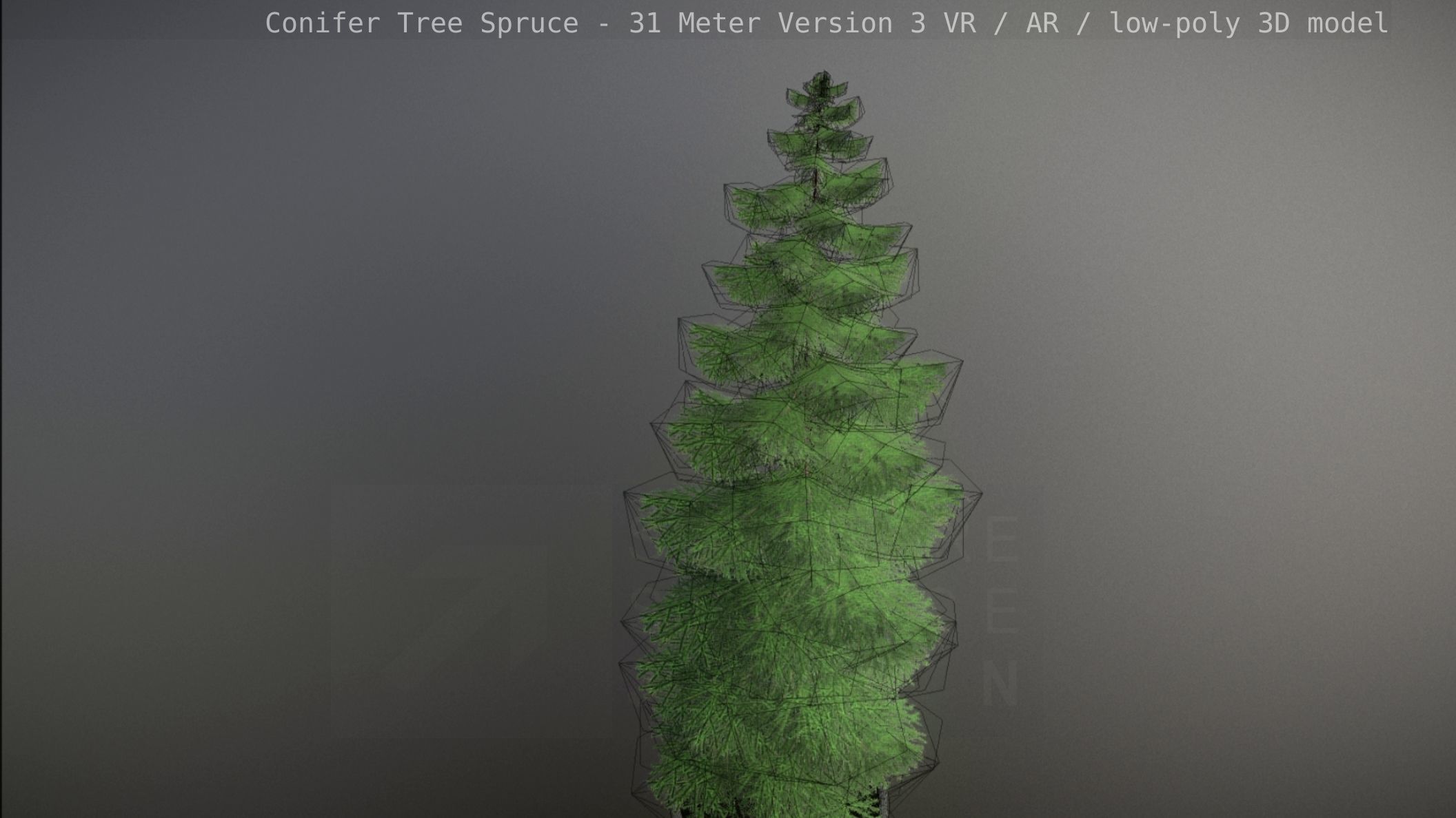 Conifer Tree Spruce - 31 Meter Version 3 Low-poly 3D model_70