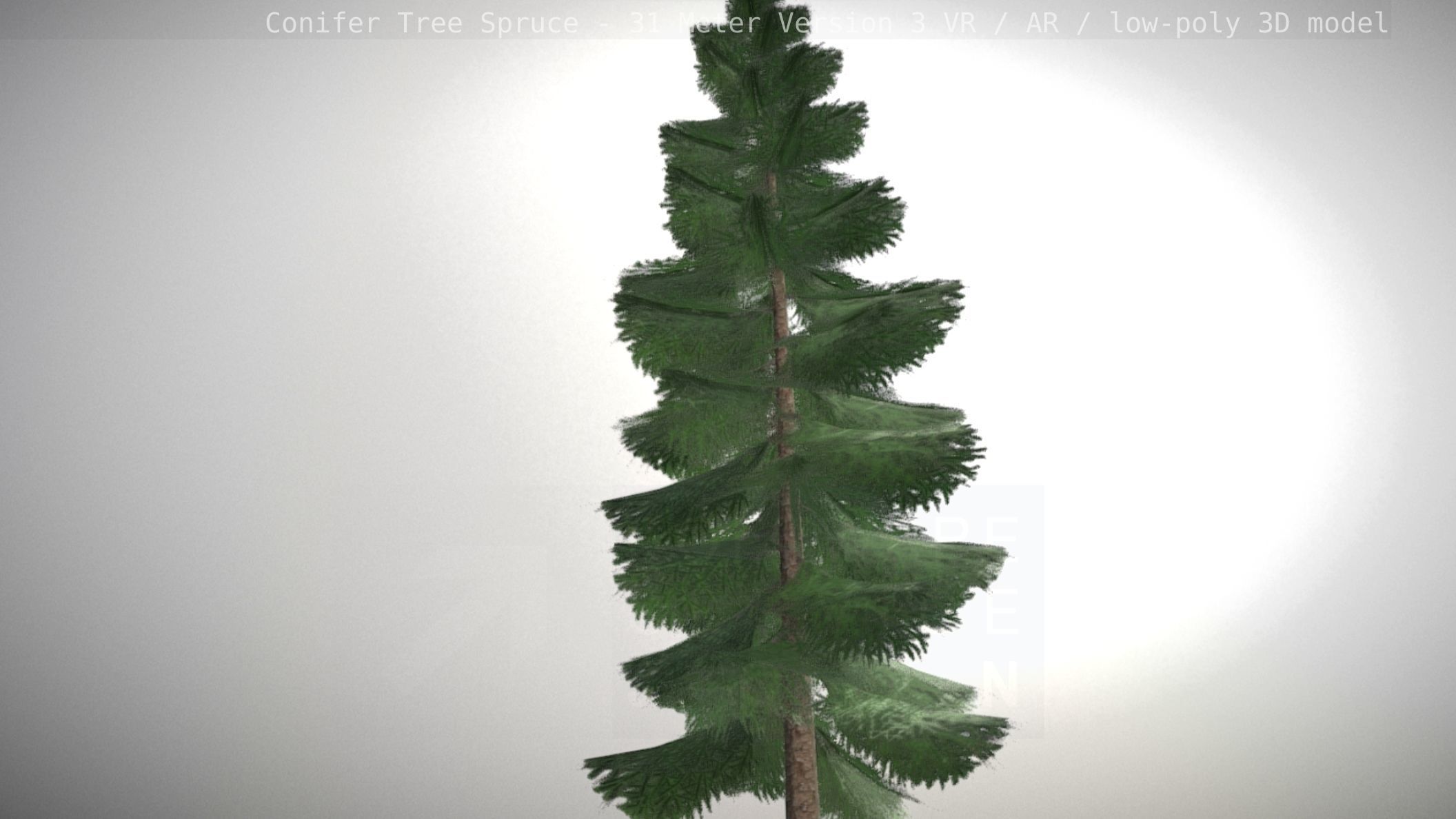 Conifer Tree Spruce - 31 Meter Version 3 Low-poly 3D model_39