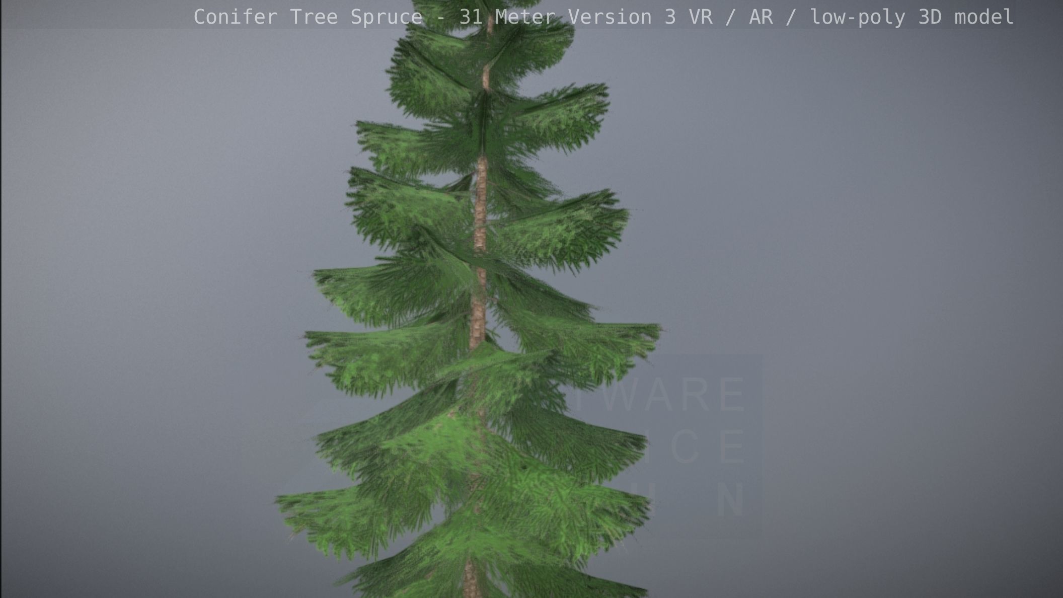 Conifer Tree Spruce - 31 Meter Version 3 Low-poly 3D model_75