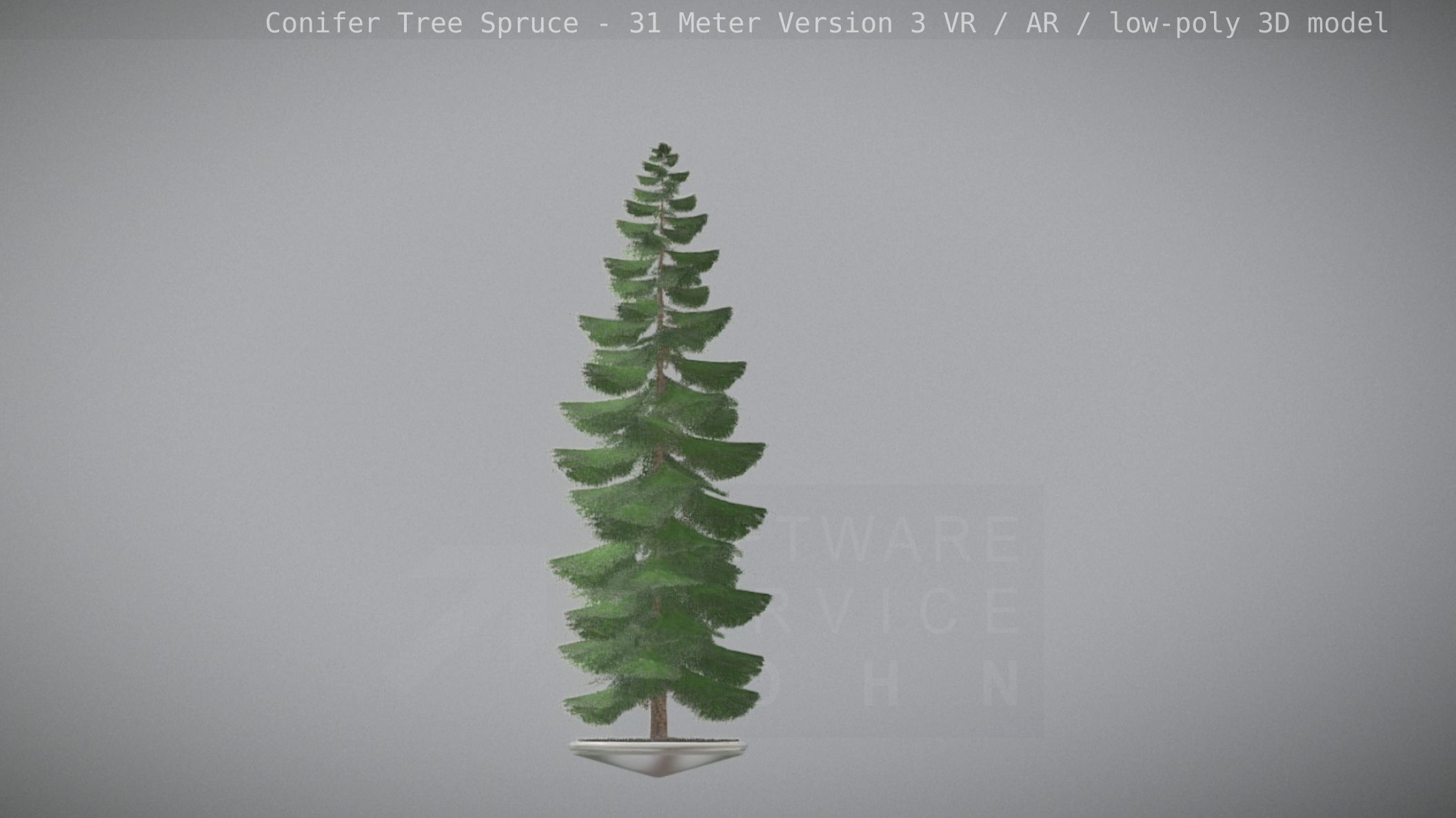 Conifer Tree Spruce - 31 Meter Version 3 Low-poly 3D model_91