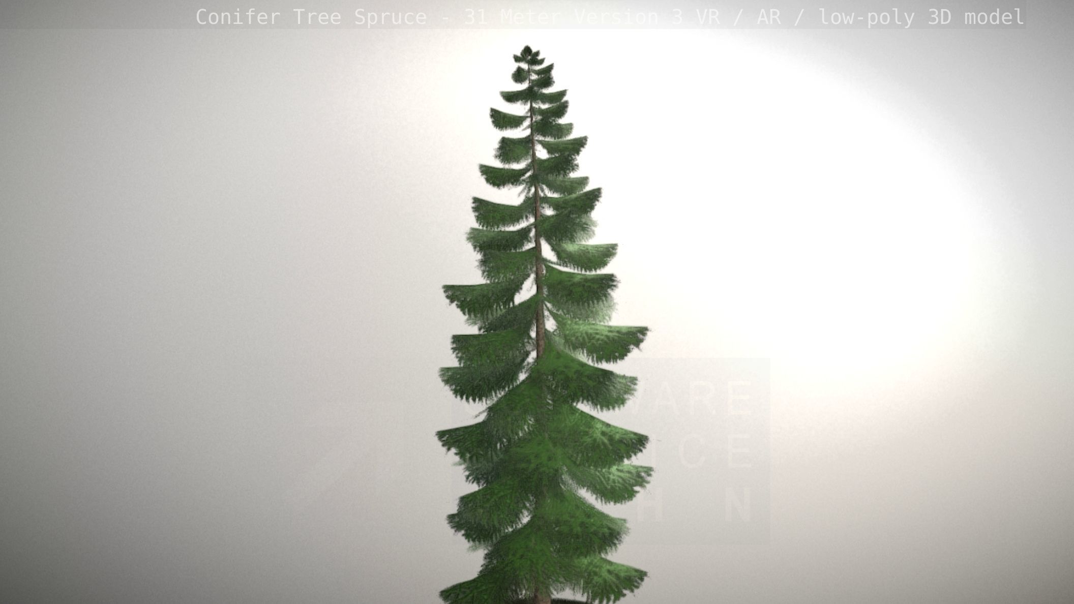 Conifer Tree Spruce - 31 Meter Version 3 Low-poly 3D model_28
