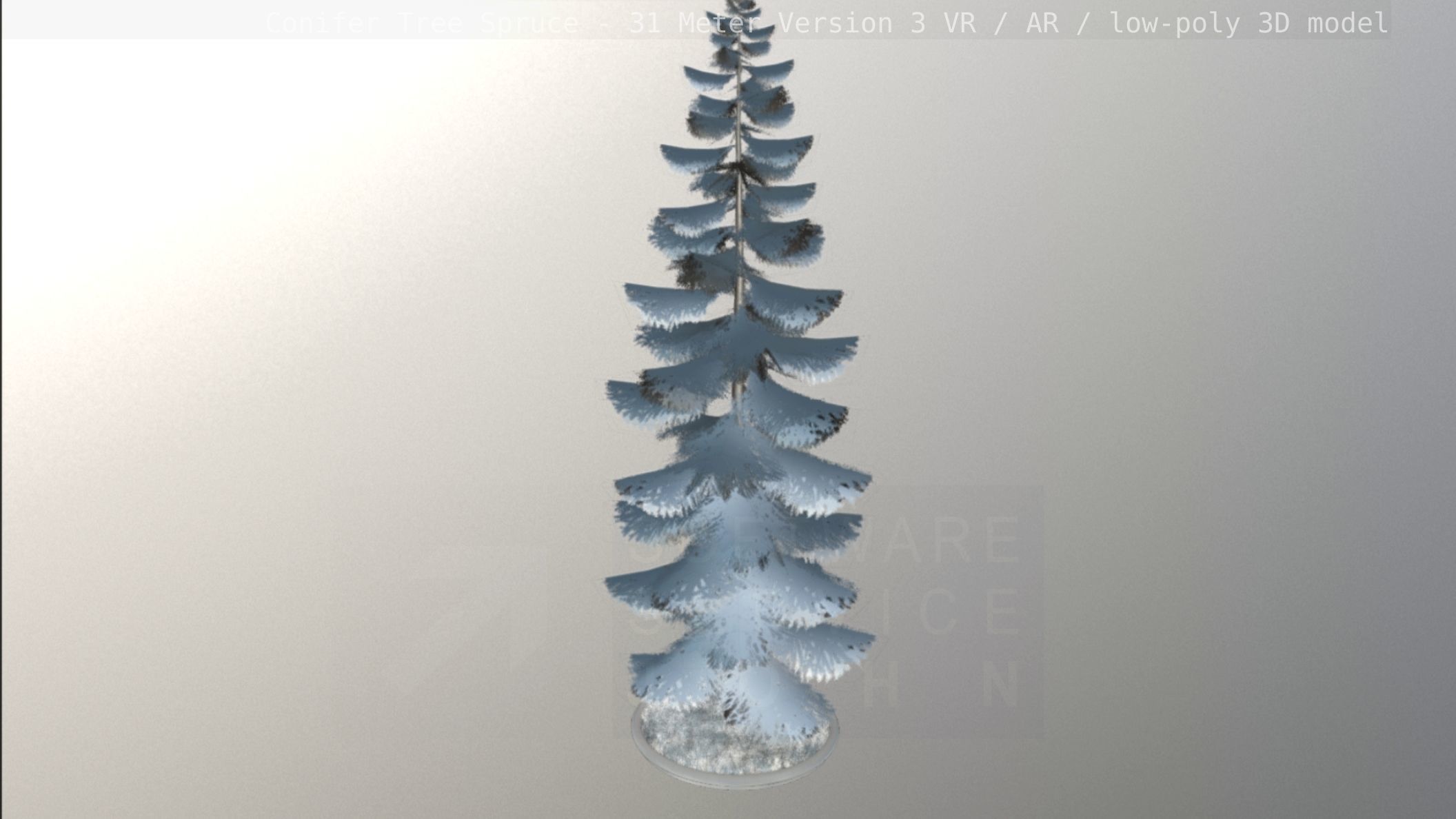 Conifer Tree Spruce - 31 Meter Version 3 Low-poly 3D model_53