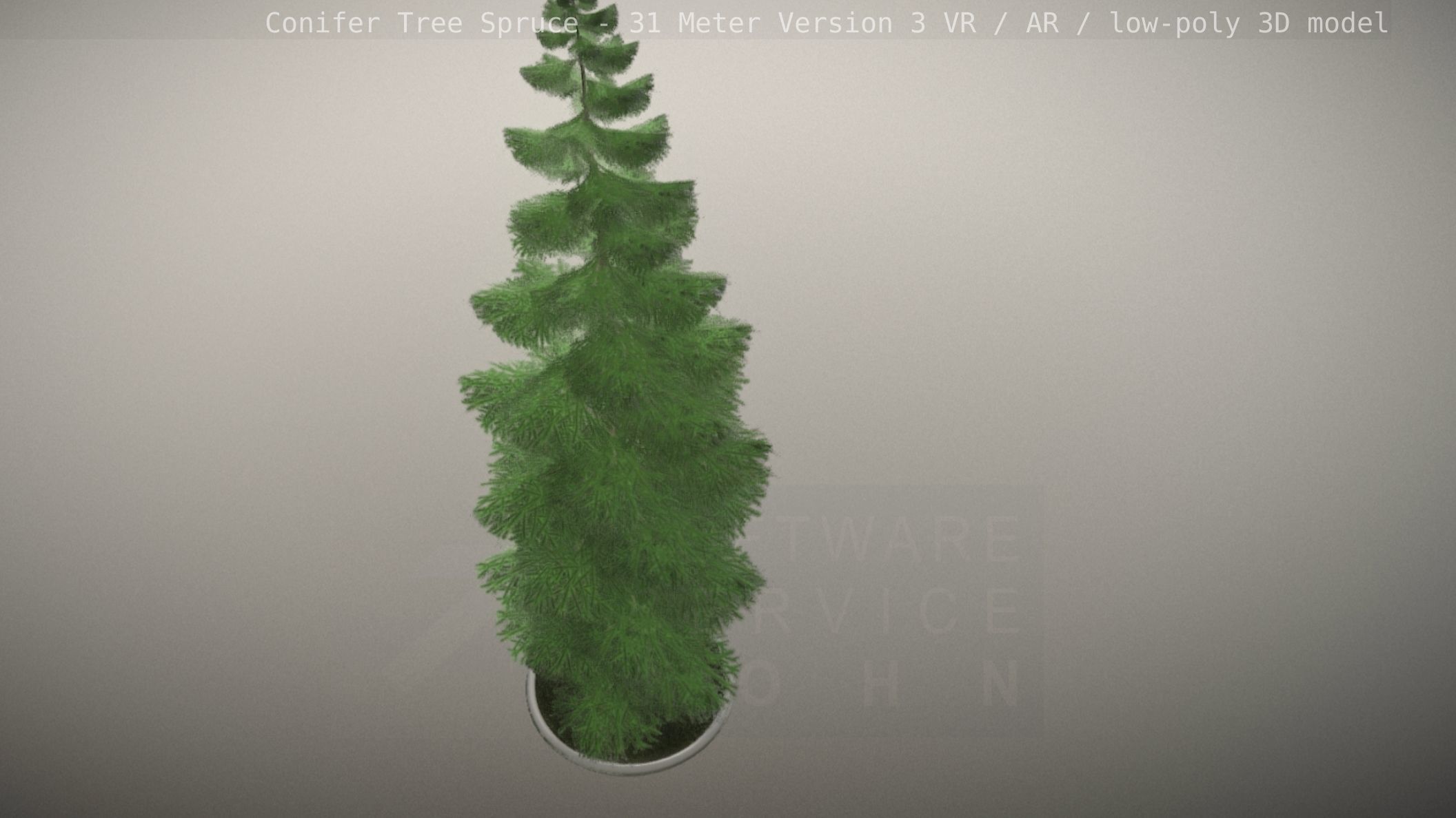 Conifer Tree Spruce - 31 Meter Version 3 Low-poly 3D model_23