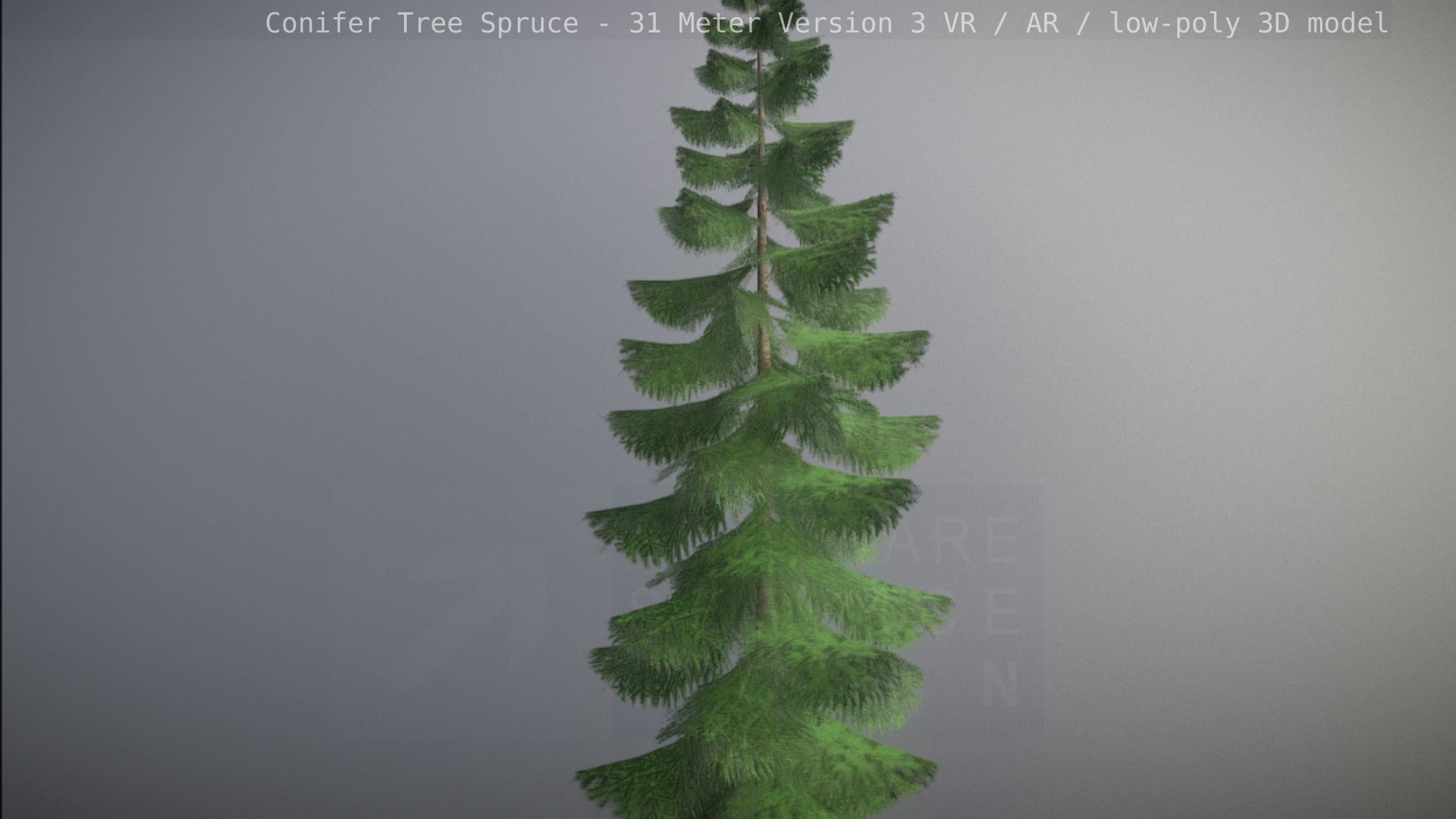 Conifer Tree Spruce - 31 Meter Version 3 Low-poly 3D model_74