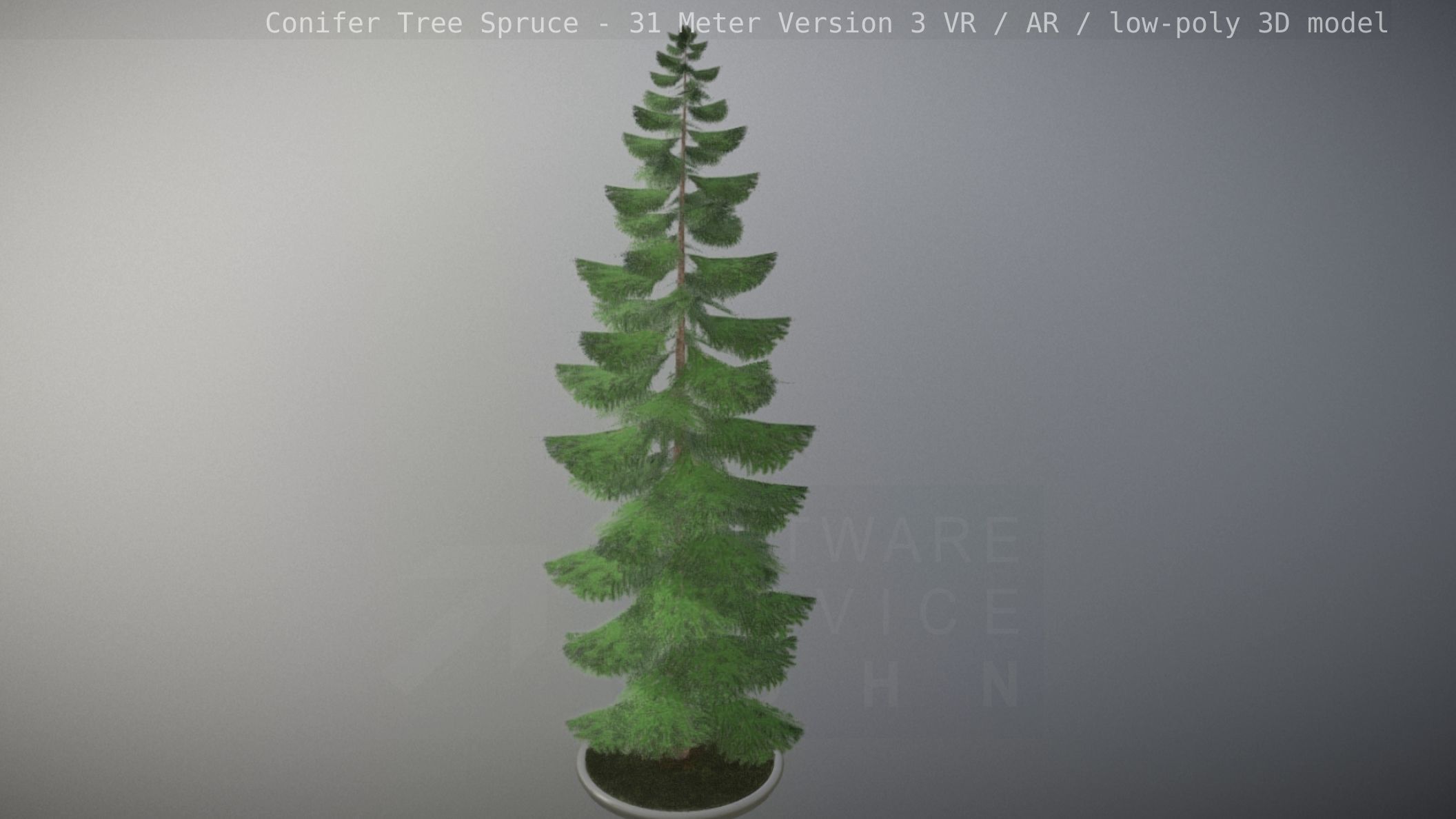 Conifer Tree Spruce - 31 Meter Version 3 Low-poly 3D model_20