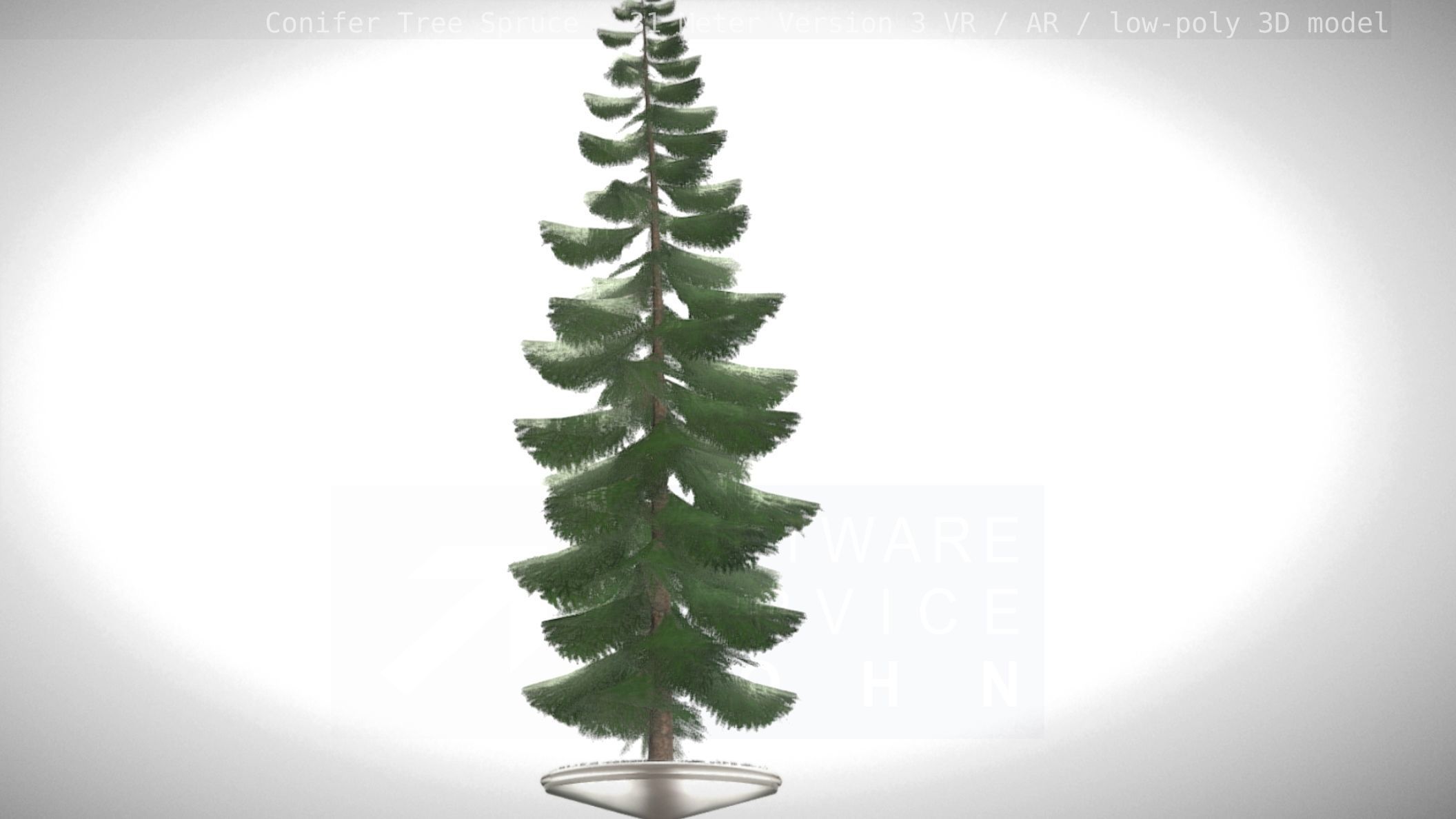 Conifer Tree Spruce - 31 Meter Version 3 Low-poly 3D model_82
