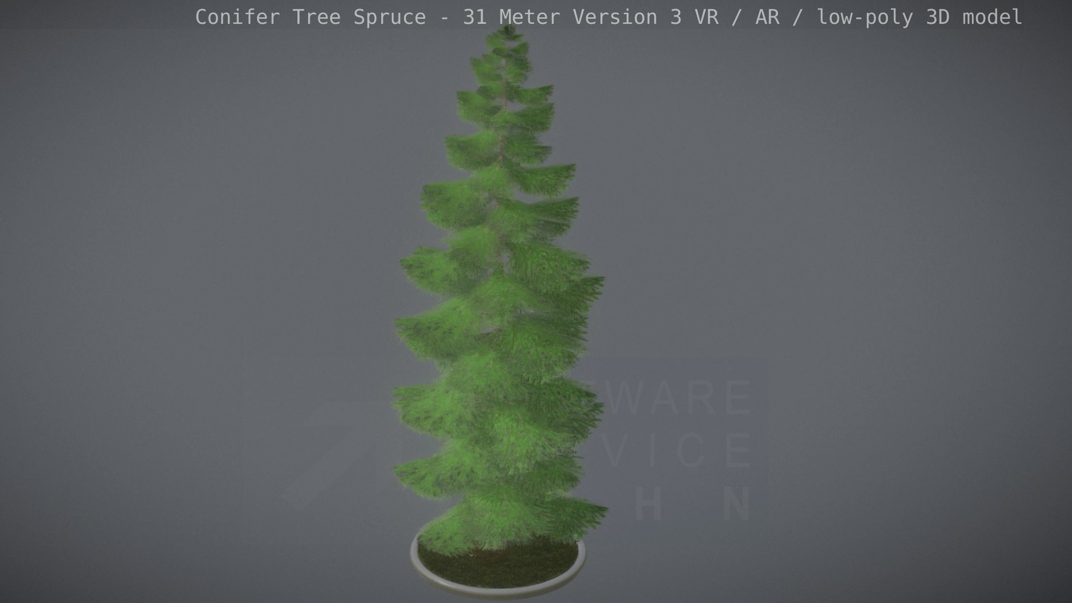 Conifer Tree Spruce - 31 Meter Version 3 Low-poly 3D model_9